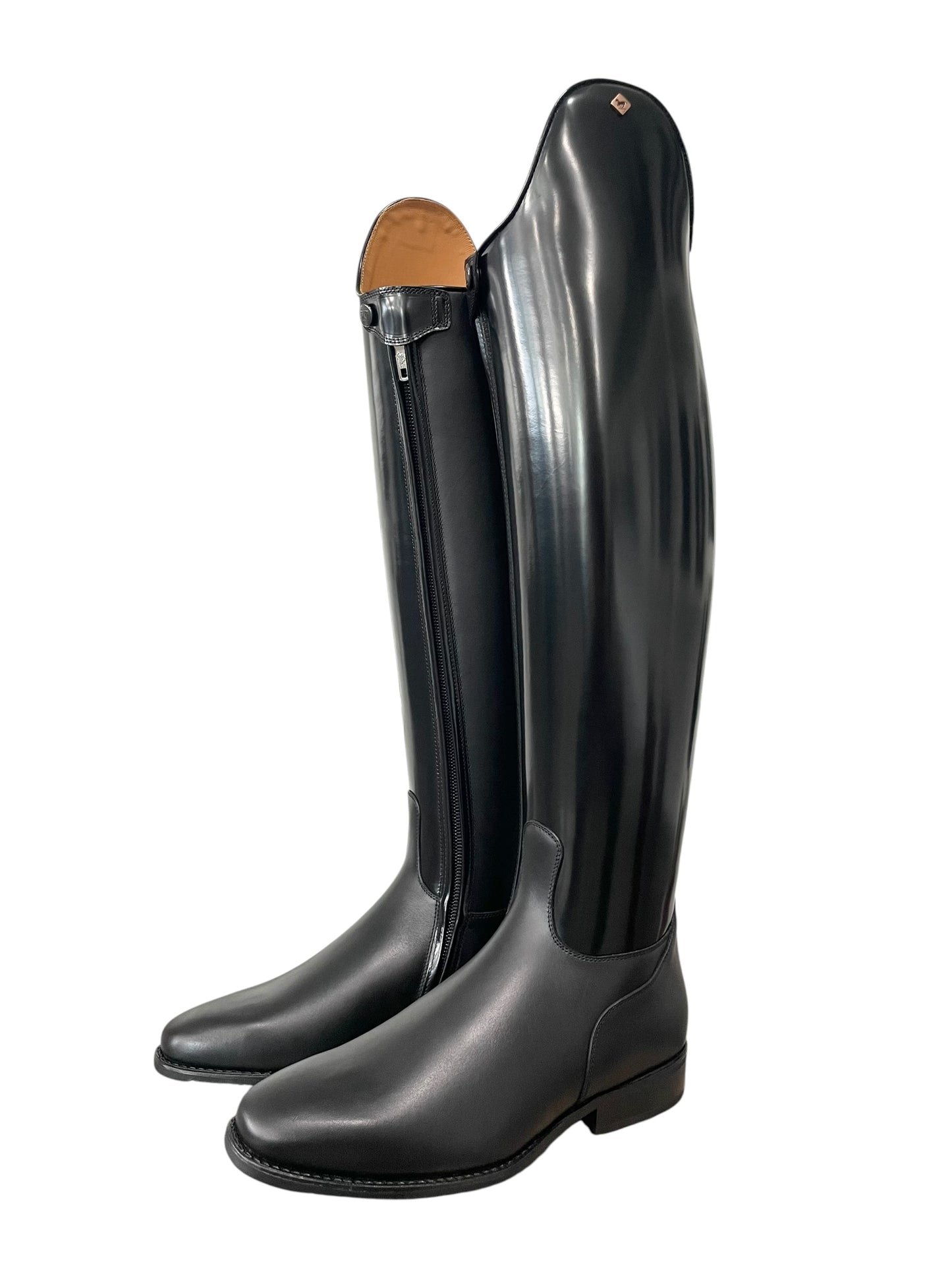 TDR's Becky M 2.0 (DeNiro Raffaello)