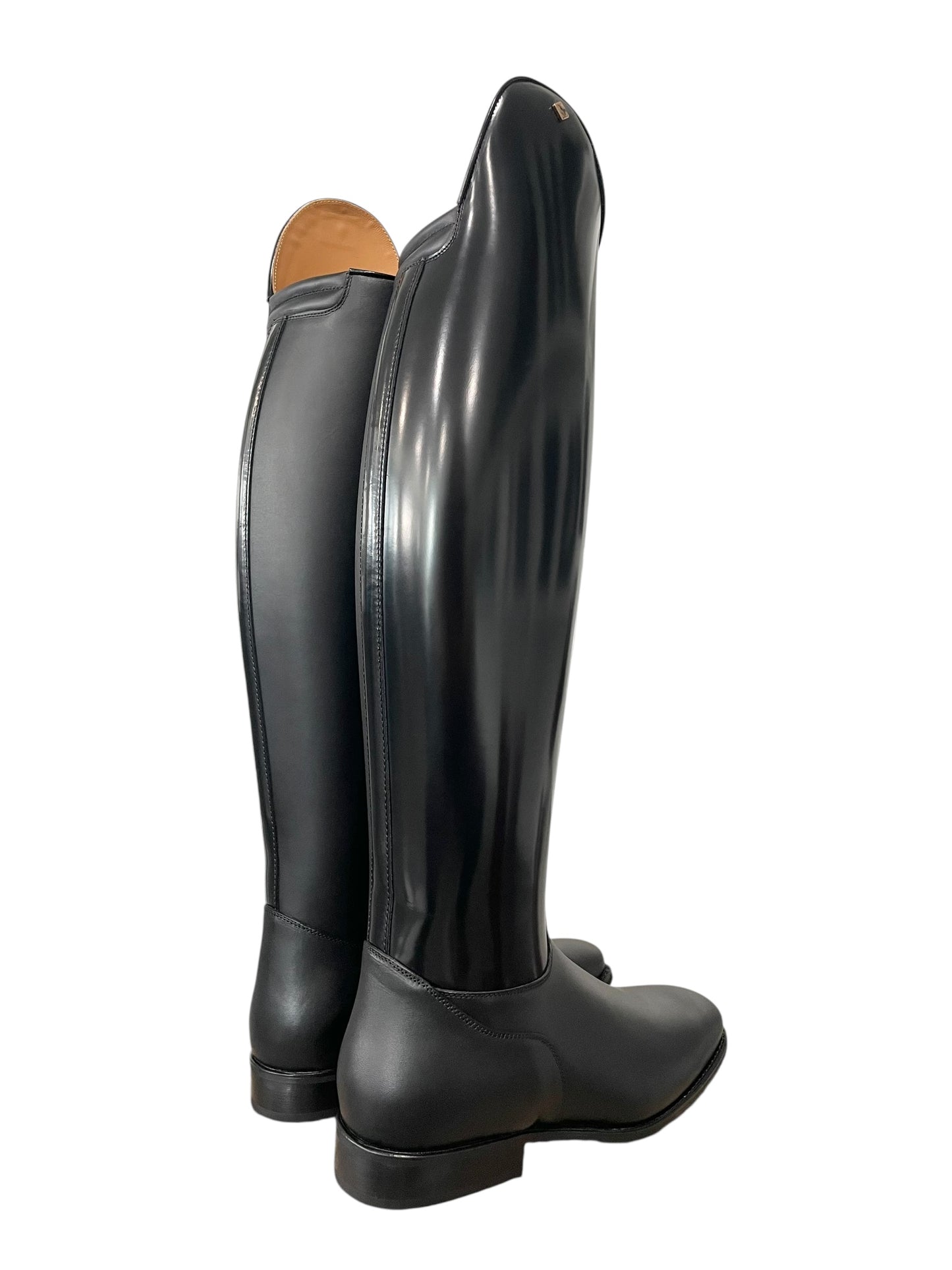 TDR's Becky M 2.0 (DeNiro Raffaello)