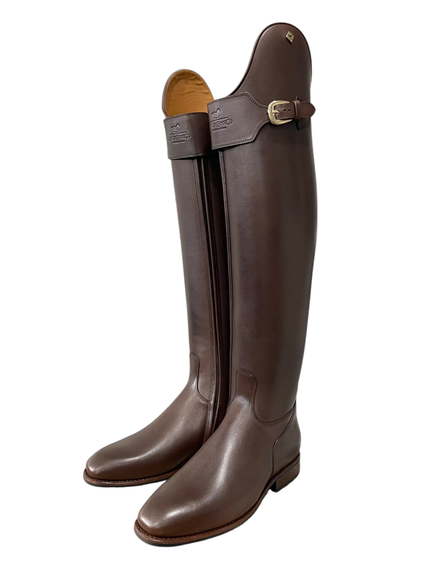 TDR's Felicitas VNC 2.0 (DeNiro Raffaello)