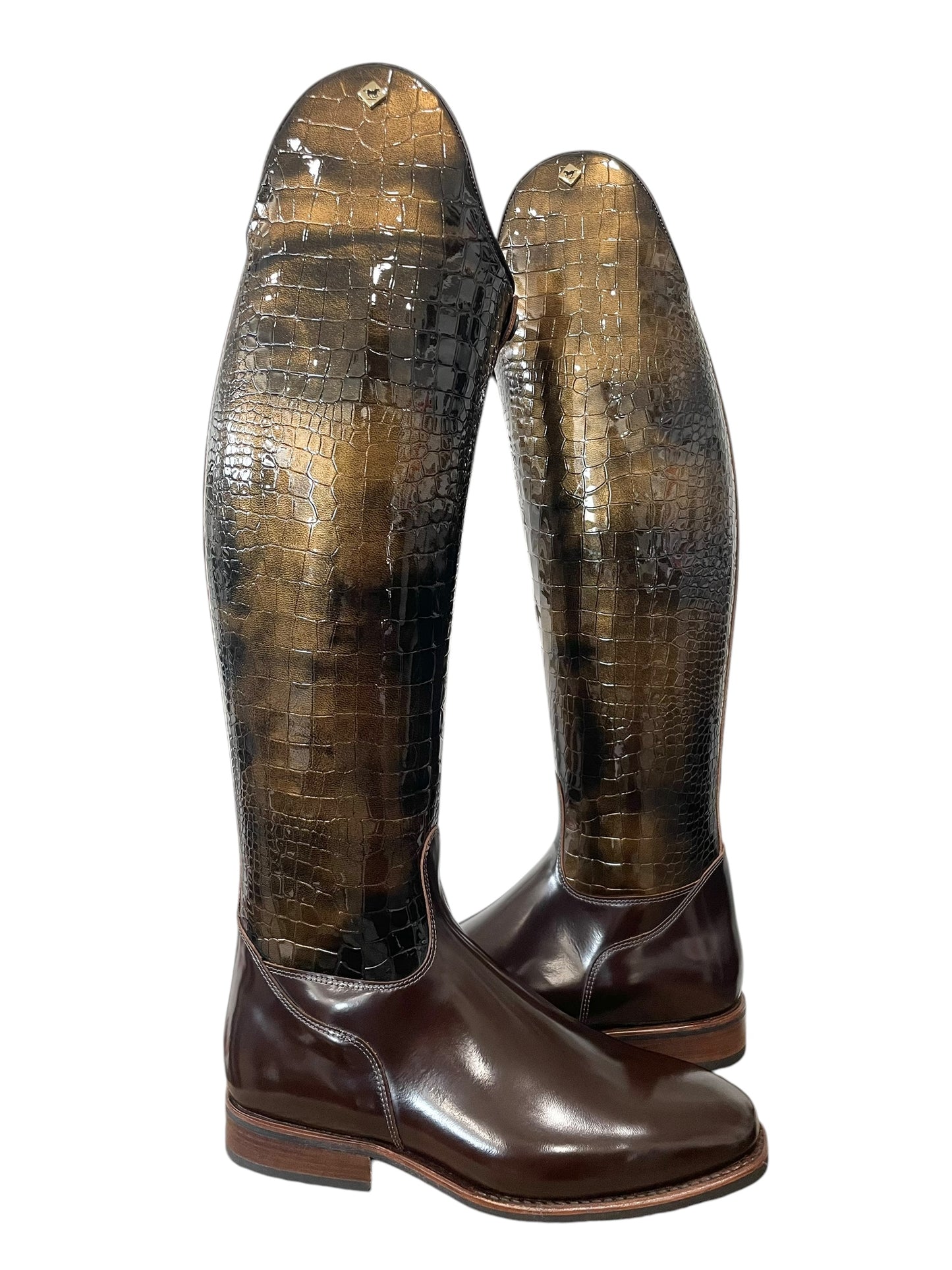 TDR's Meaghan D 4.0 (DeNiro Raffaello)