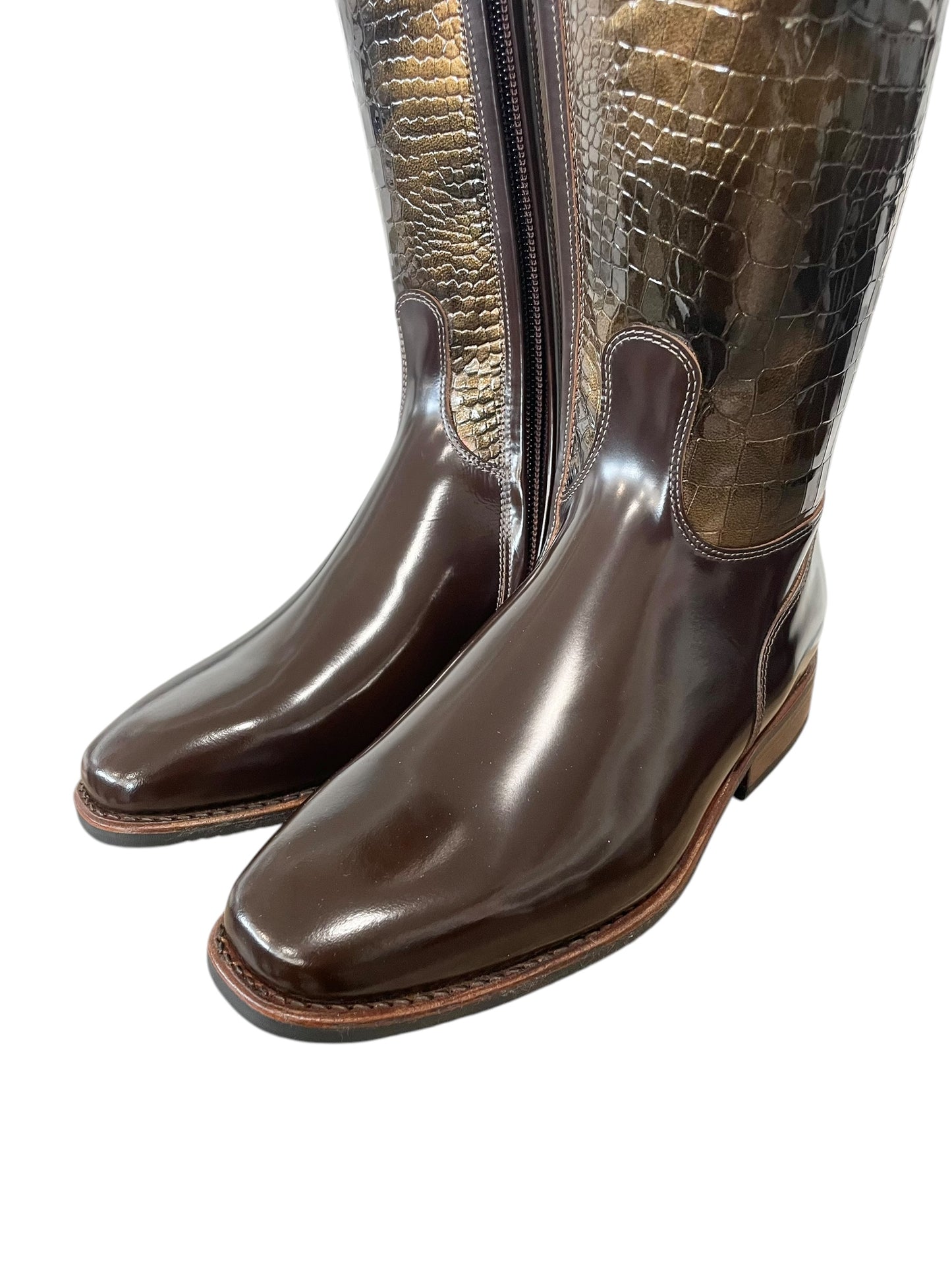 TDR's Meaghan D 4.0 (DeNiro Raffaello)