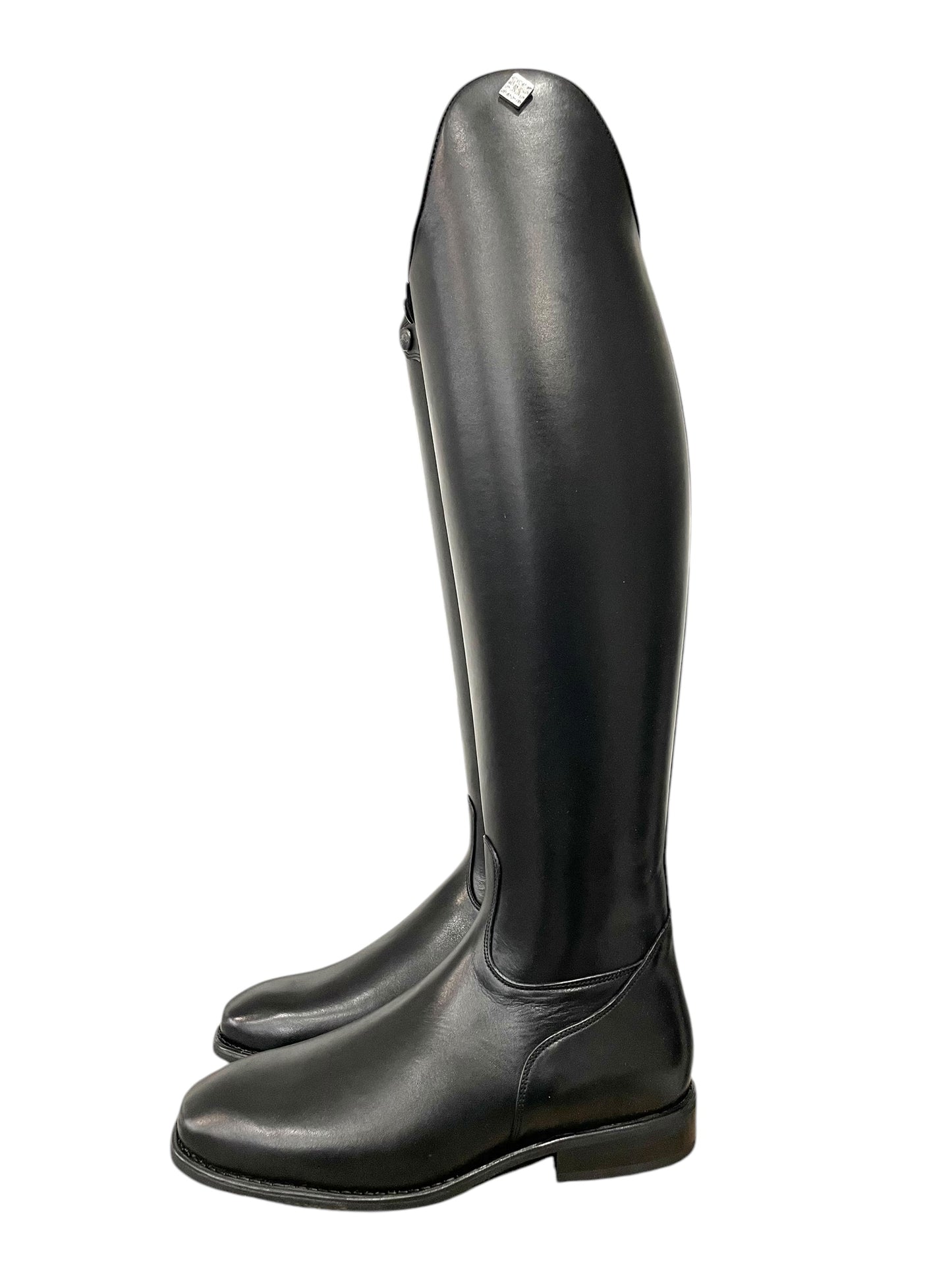 TDR's Terri (DeNiro Raffaello)