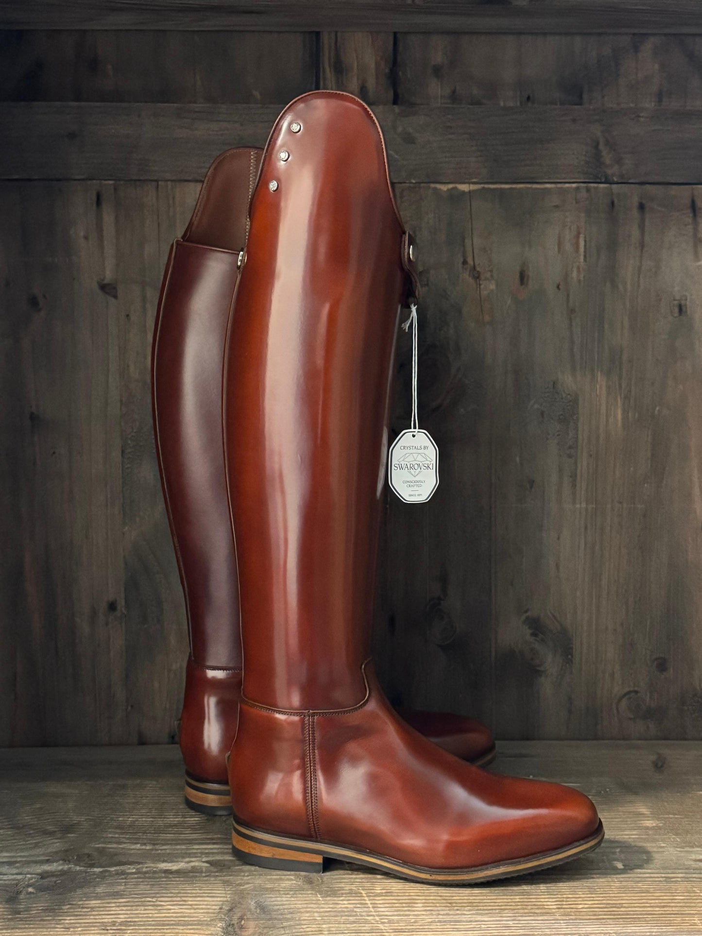 TDR's Maia B 4.0 (Celeris Passage)