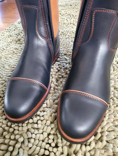 TDR's Cristiana (Kingsley Capri)
