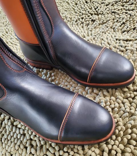TDR's Cristiana (Kingsley Capri)