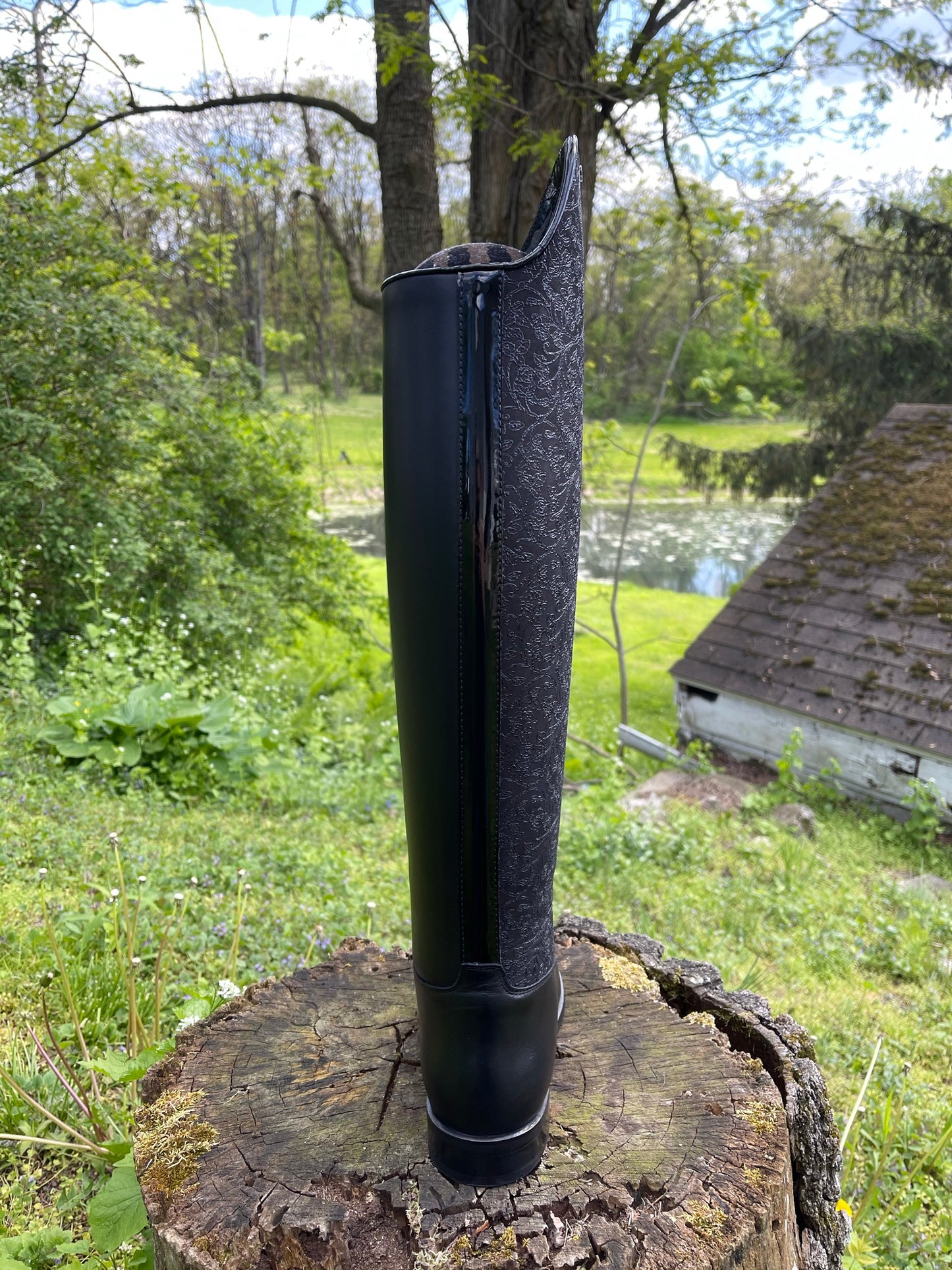TDR's Marissa 3.0 (Kingsley Capri)