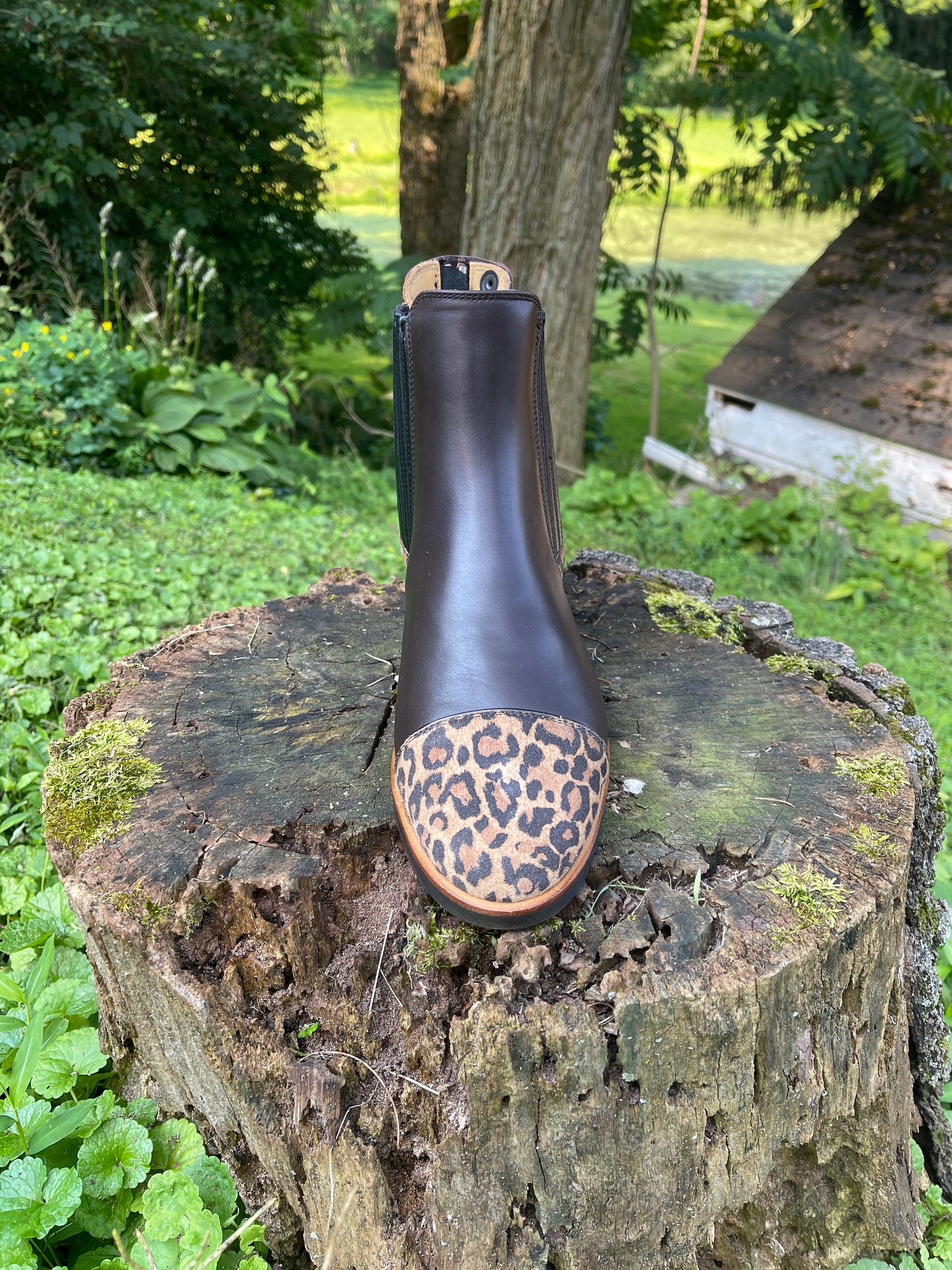 Kingsley Berlin Short Boot (Nature Brown)