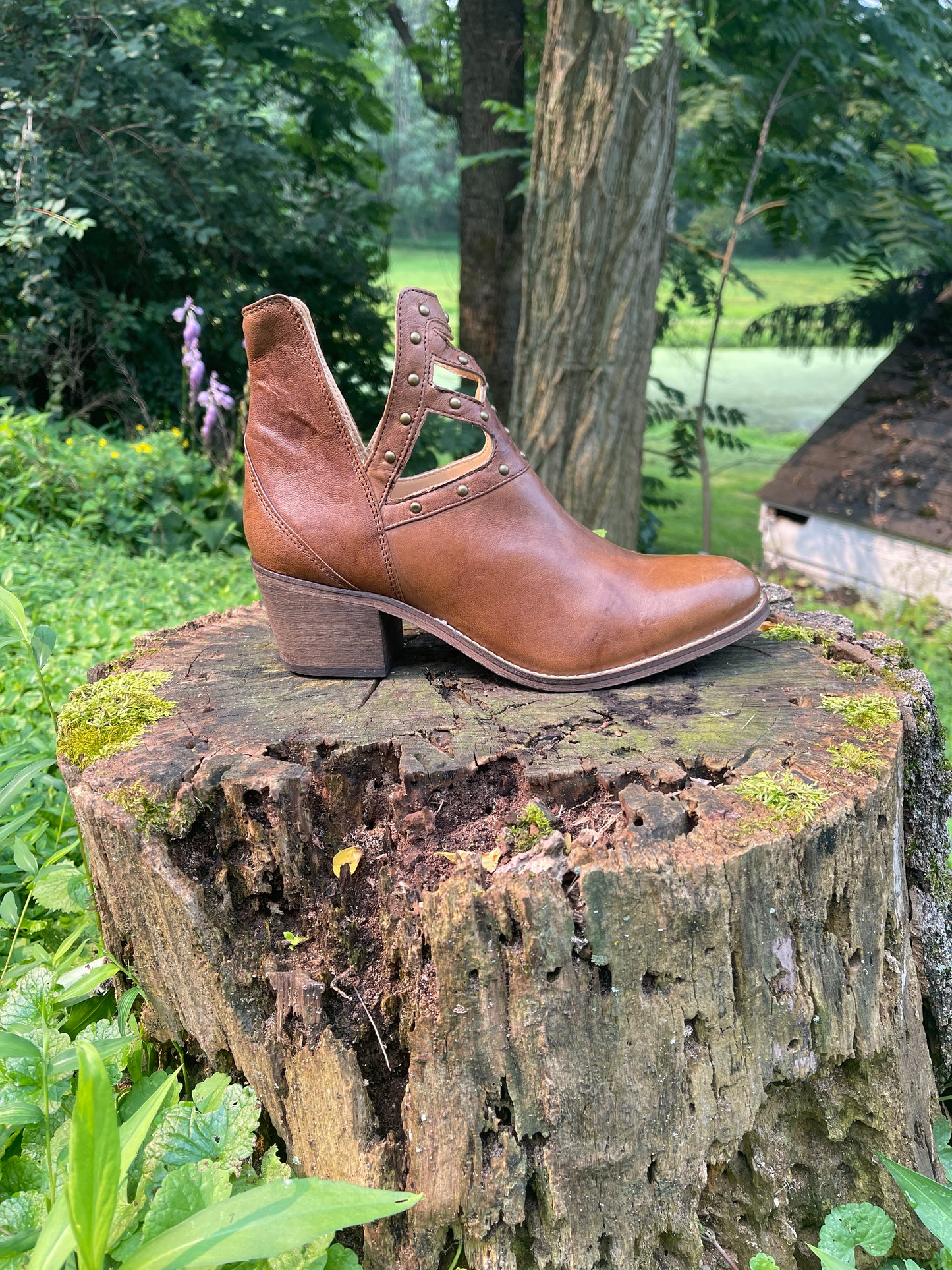 Kingsley Foster Short Boots (Limited Edition)