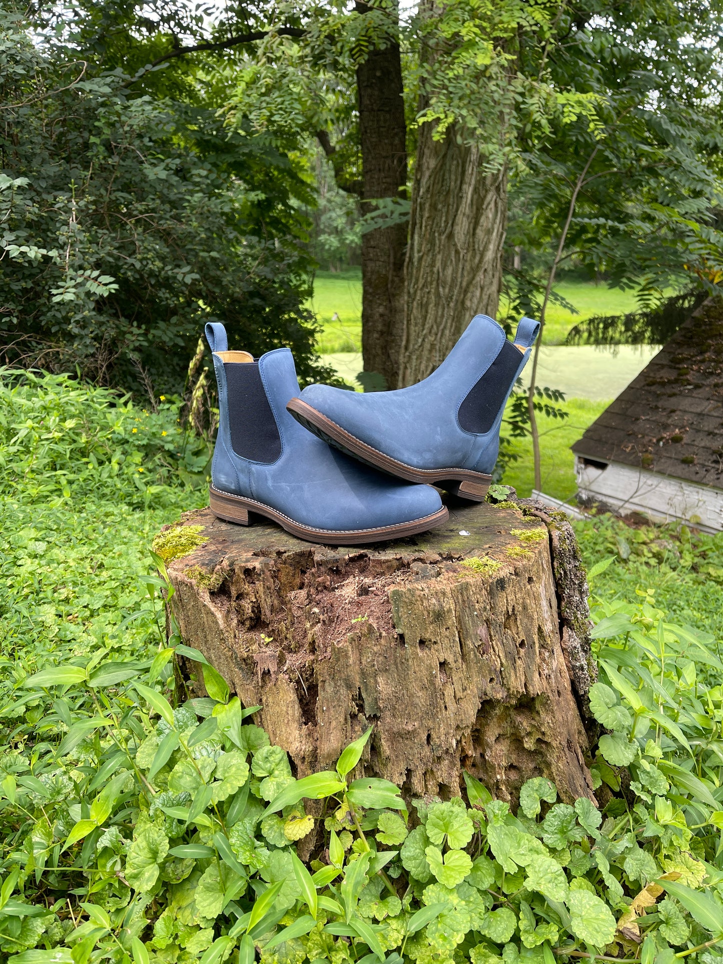 Kingsley Amsterdam Short Boot (Gaucho Blue)