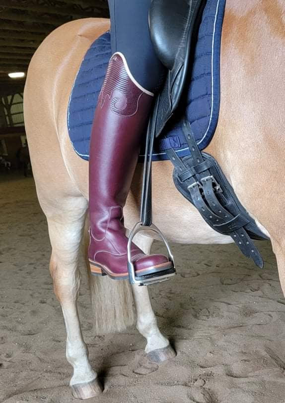 TDR's Jena R (Kingsley Denver)