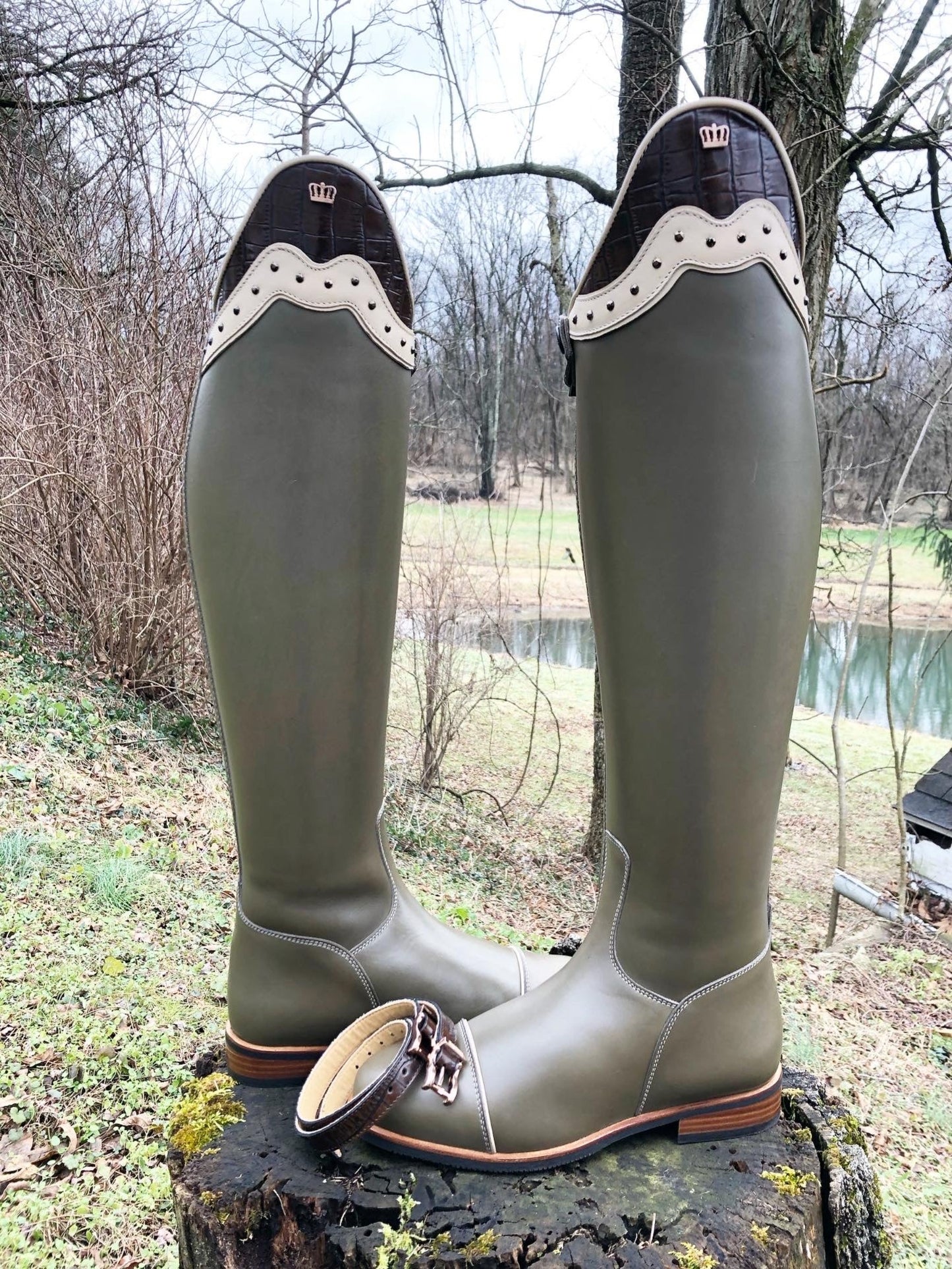 TDR's Diana S 2.0 (WINTER Kingsley Capri)