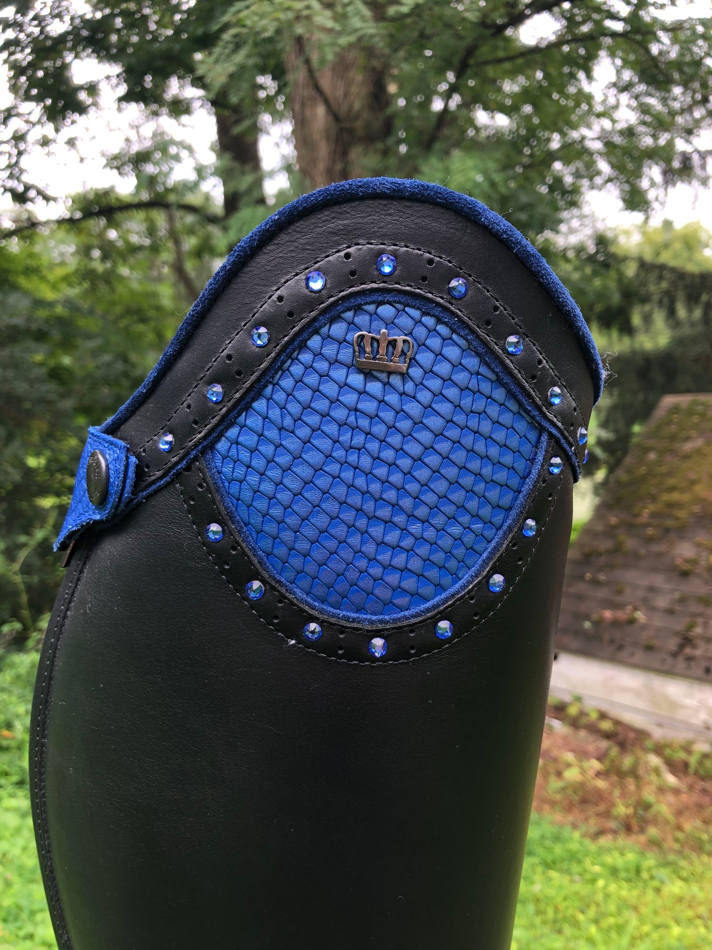 TDR's Ann (Kingsley Olbia 02)