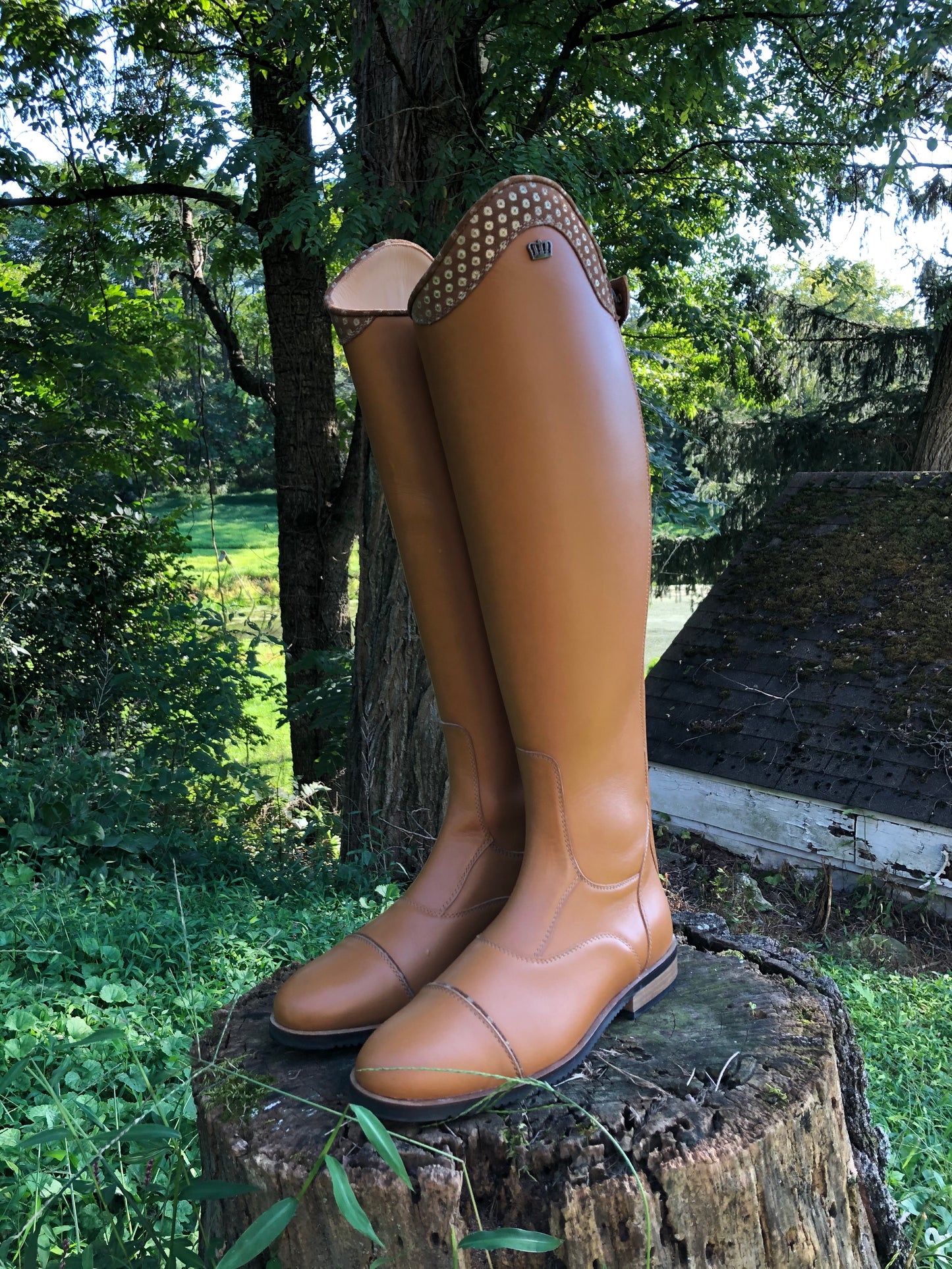 Kingsley Aspen Special 01 (Aspen Cognac and Mokka Gold)