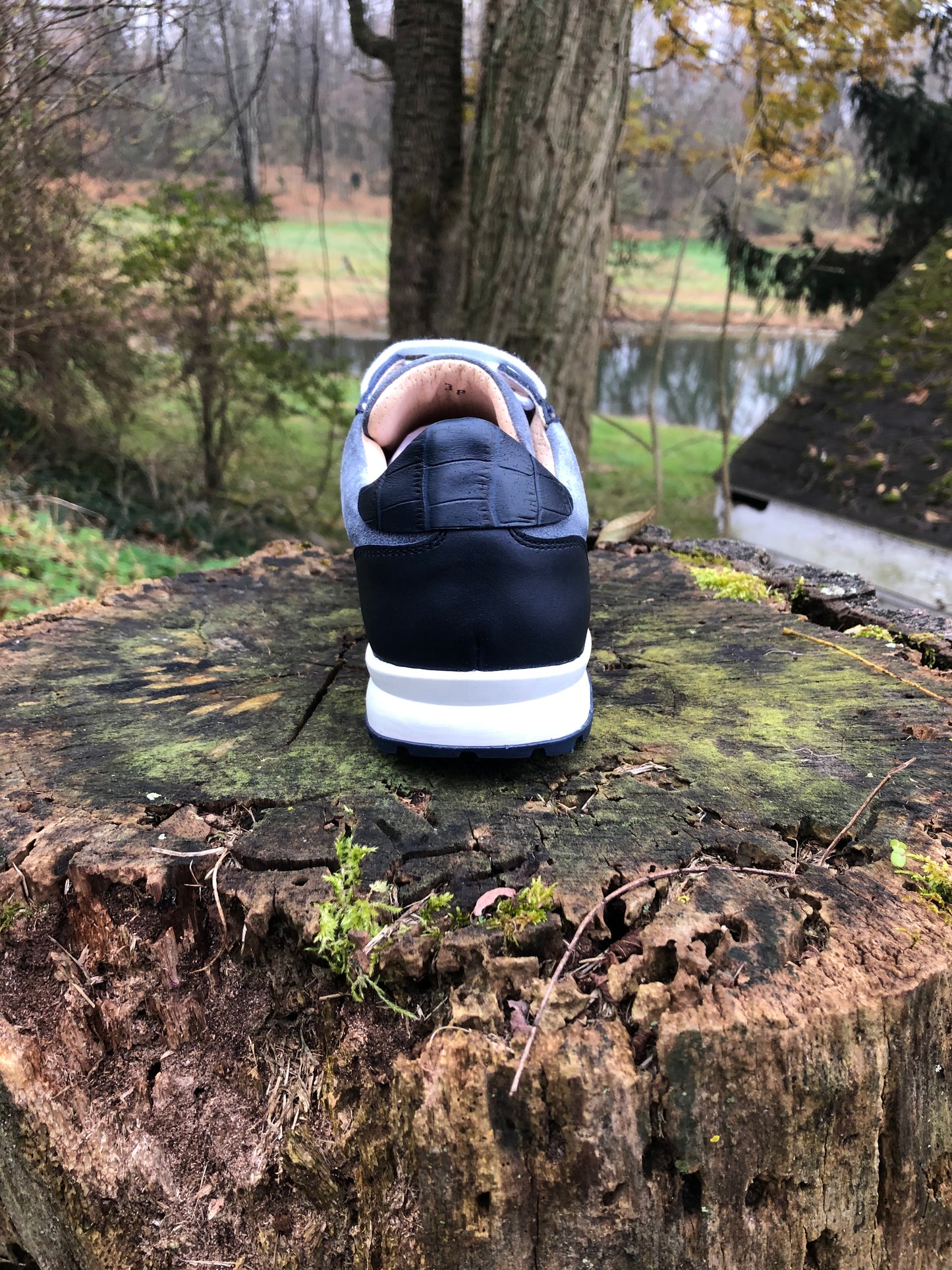 TDR's Janice (Kingsley Cervo)