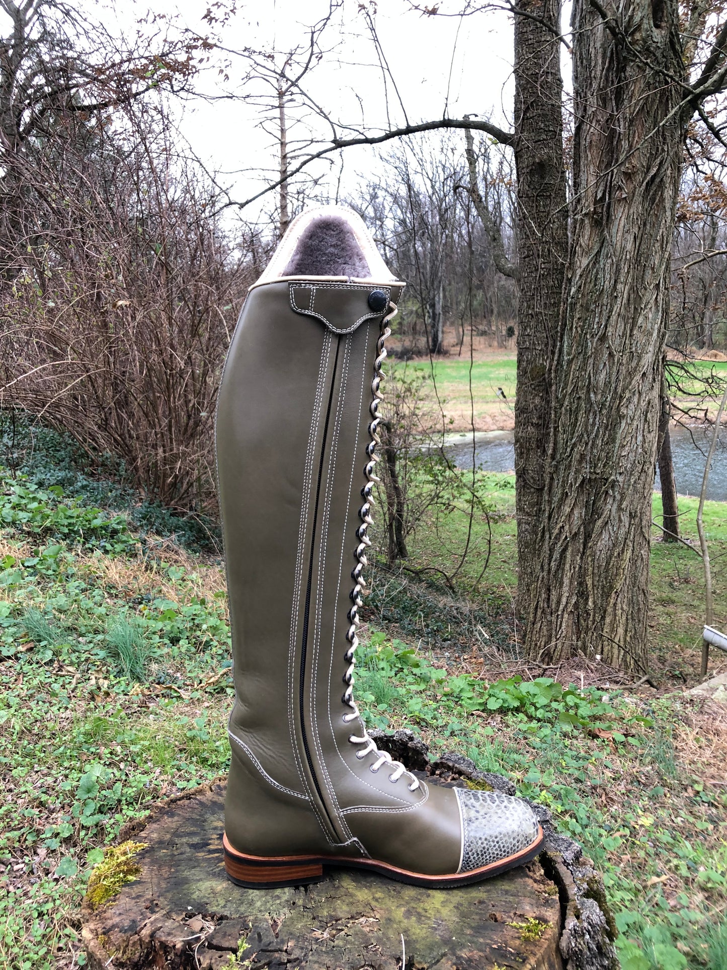 TDR's Marissa 2.0 (Kingsley Orlando 02)