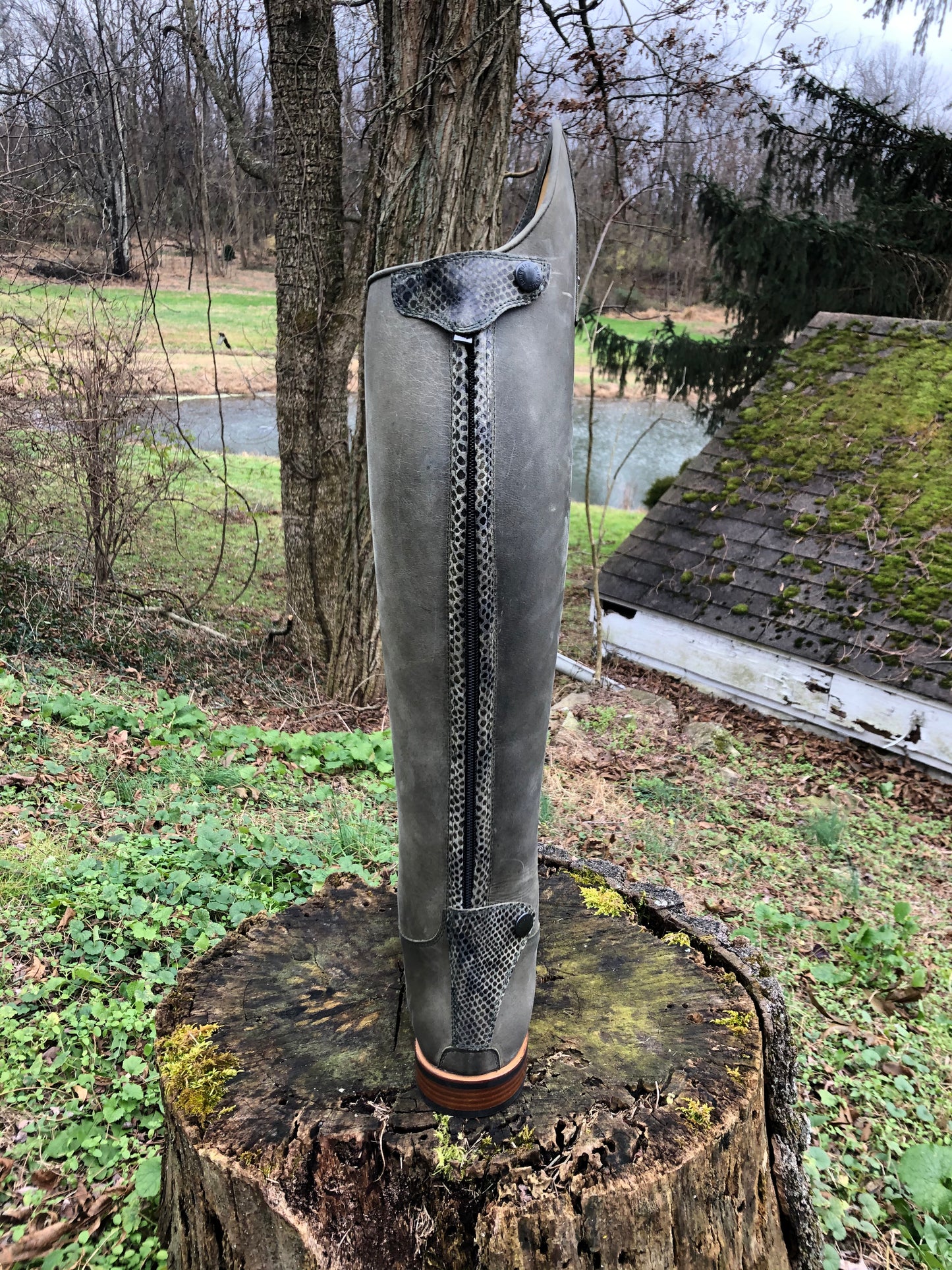 Kingsley Olbia 03 Dressage Boot (Gaucho Green)