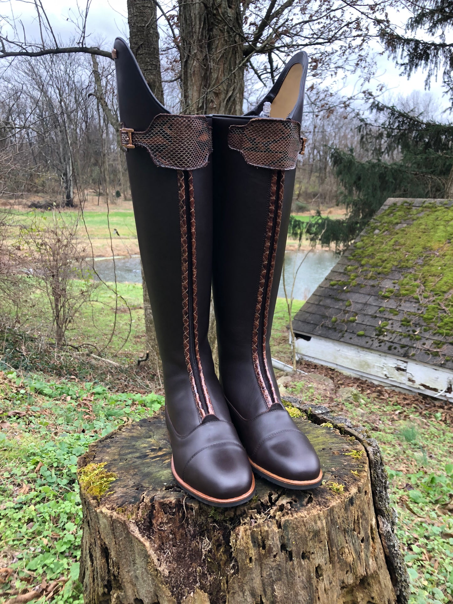 Kingsley London 01 Dressage Boot (Nature Brown)