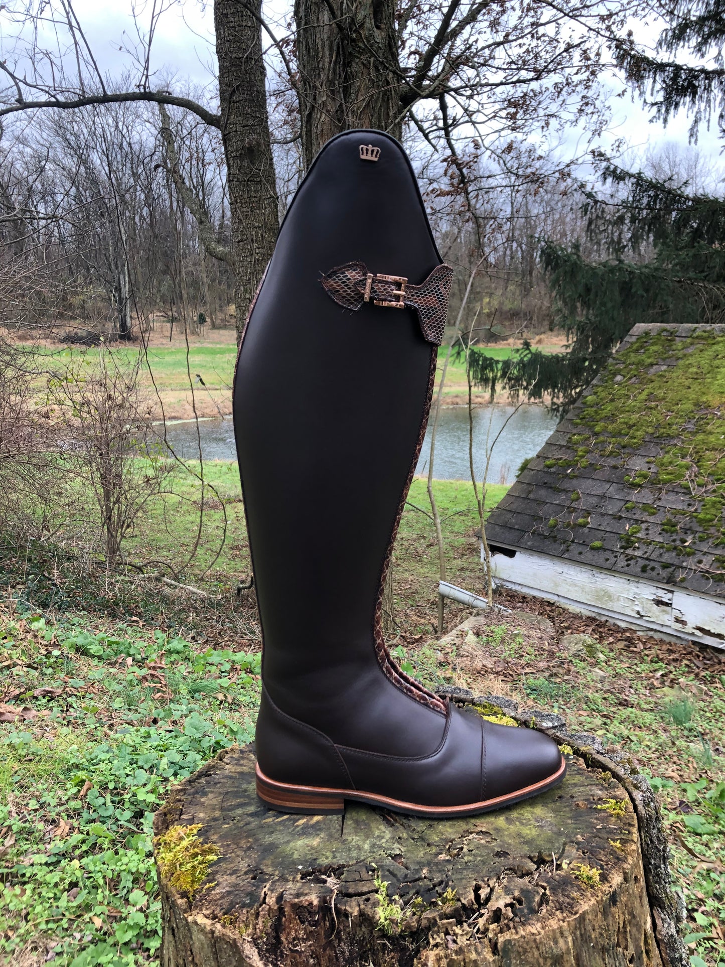 Kingsley London 01 Dressage Boot (Nature Brown)