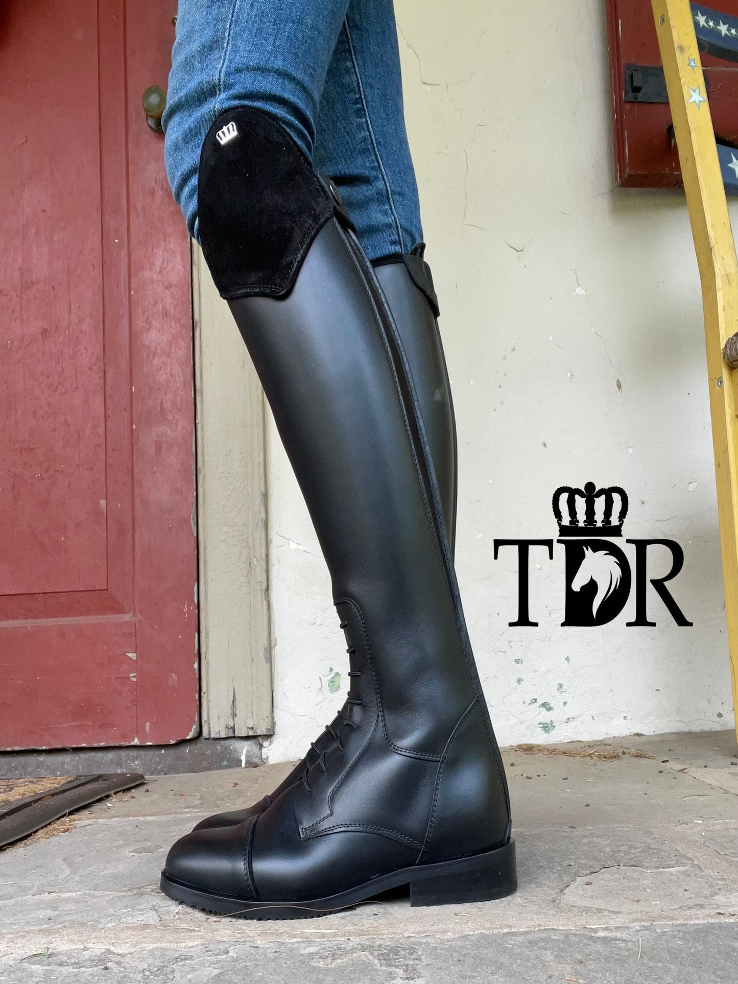 TDR's Zane (Kingsley Aspen Special 02)