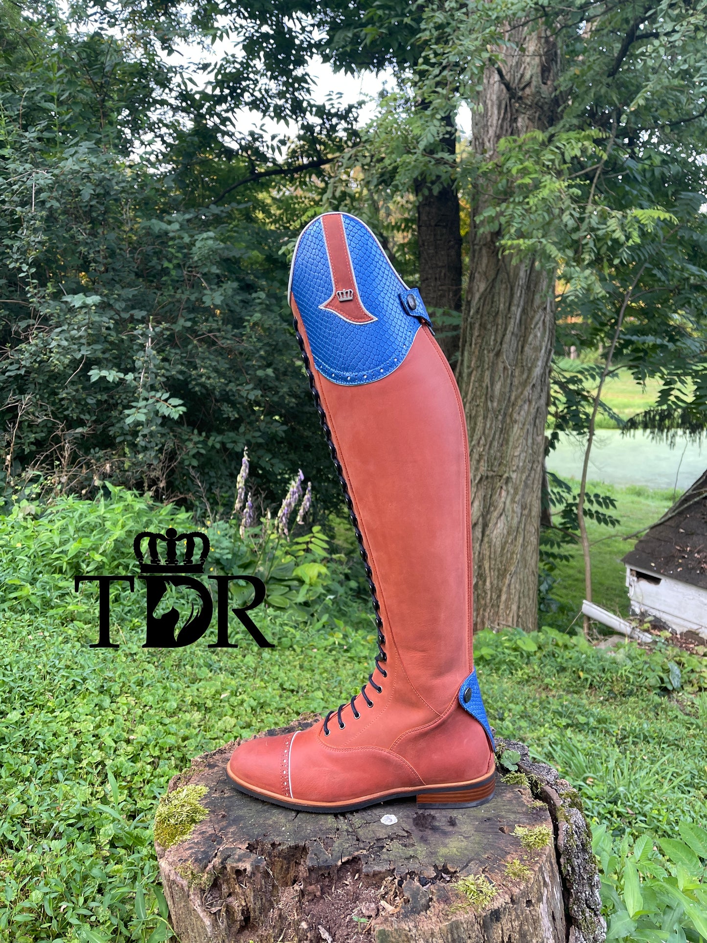 TDR's Judith (Kingsley Orlando 01)