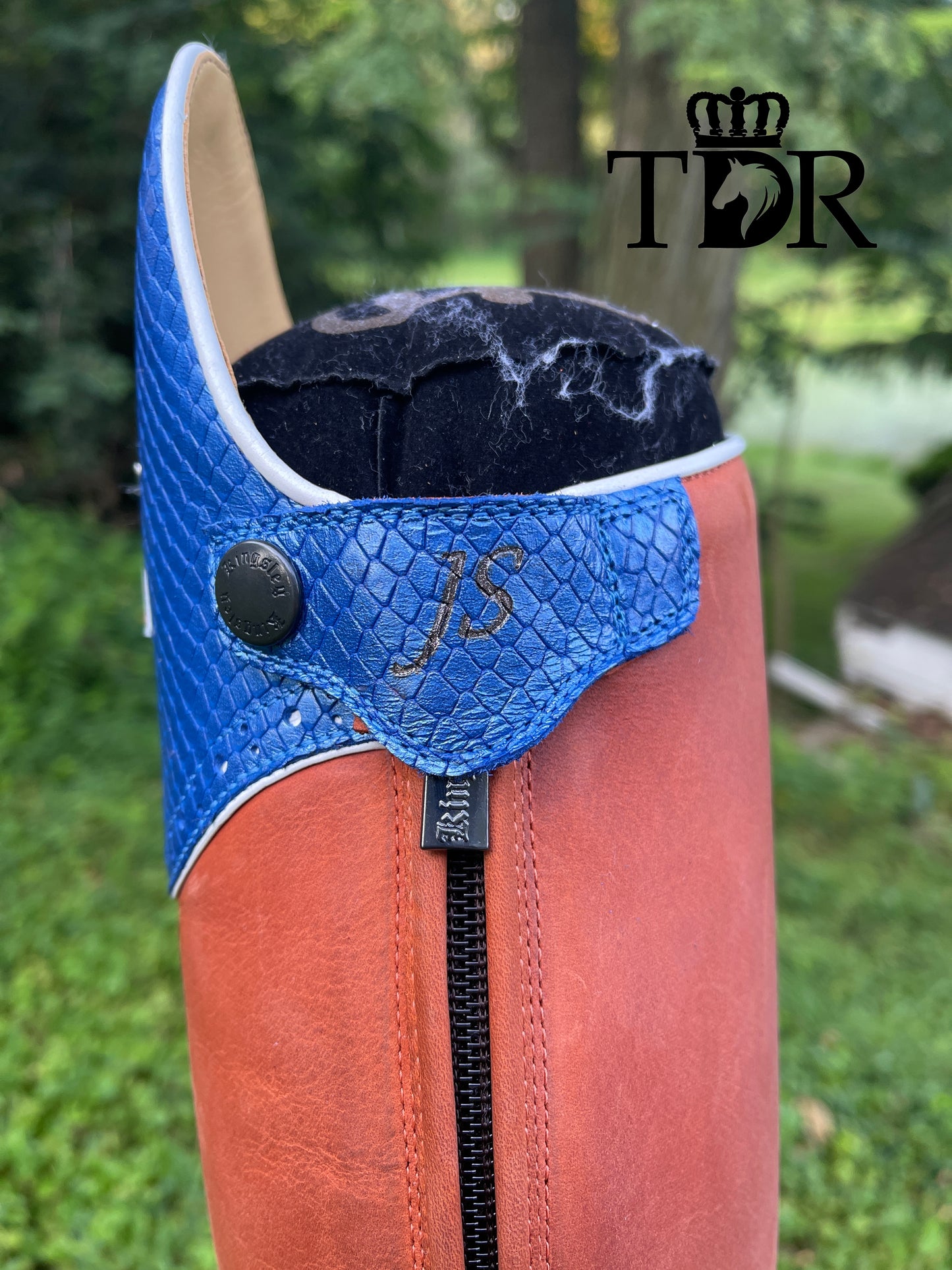 TDR's Judith (Kingsley Orlando 01)
