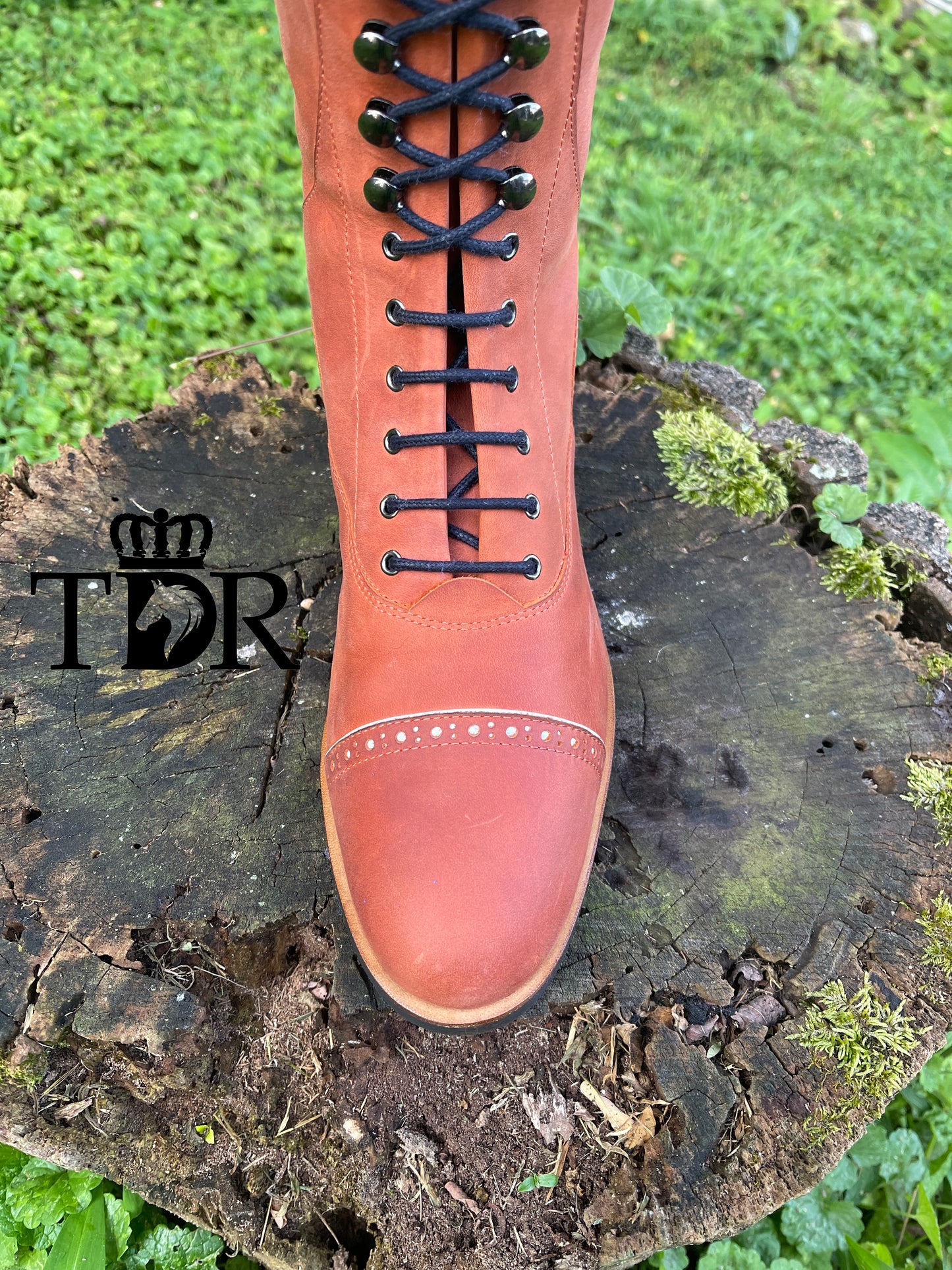 TDR's Judith (Kingsley Orlando 01)