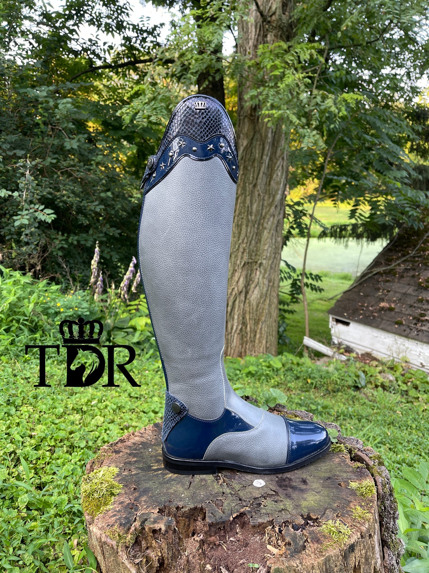TDR's Ana 2.0 (Kingsley Olbia 01)