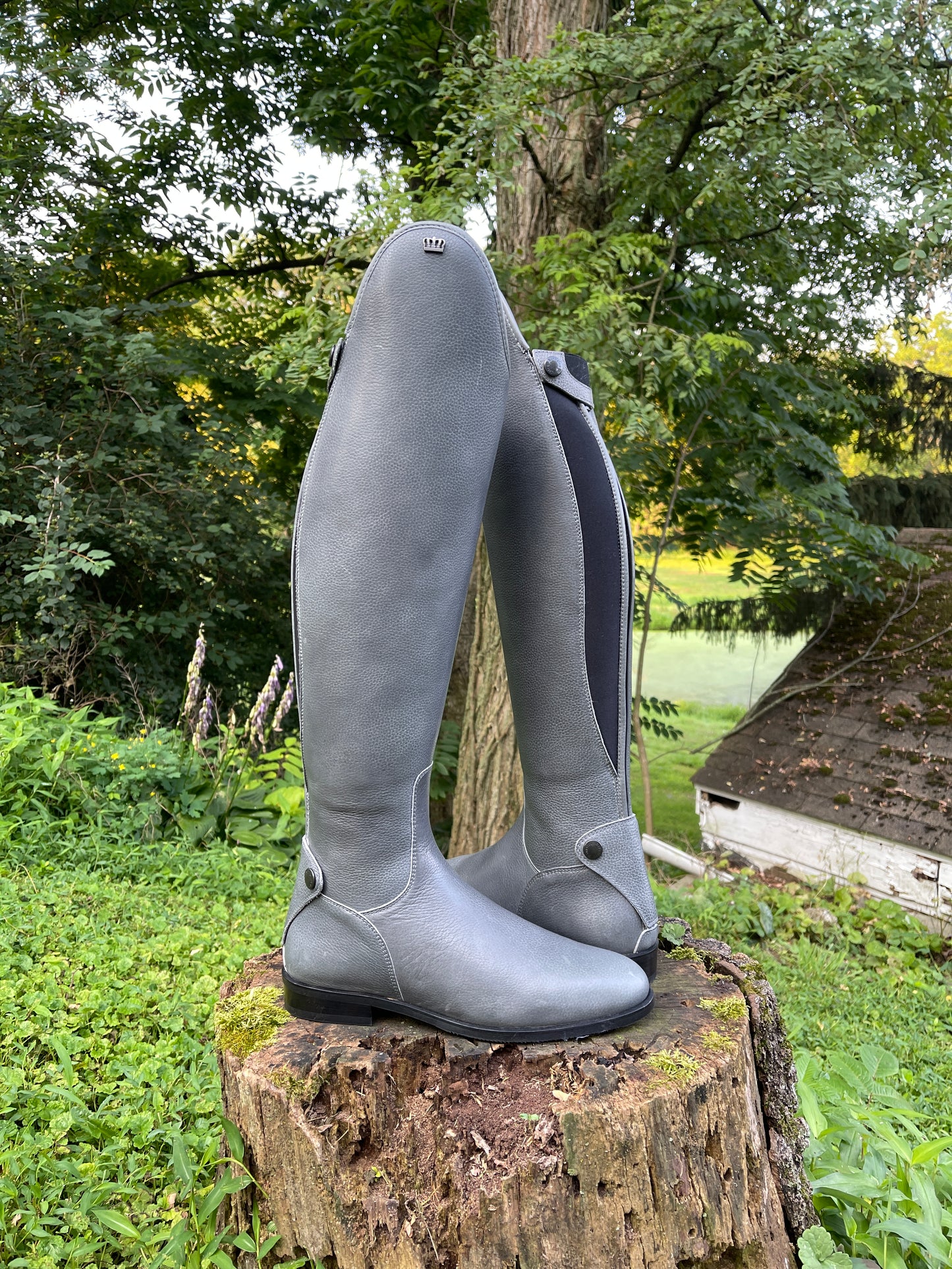 Kingsley Olbia 03 Dressage Boot (Paxson Grey)