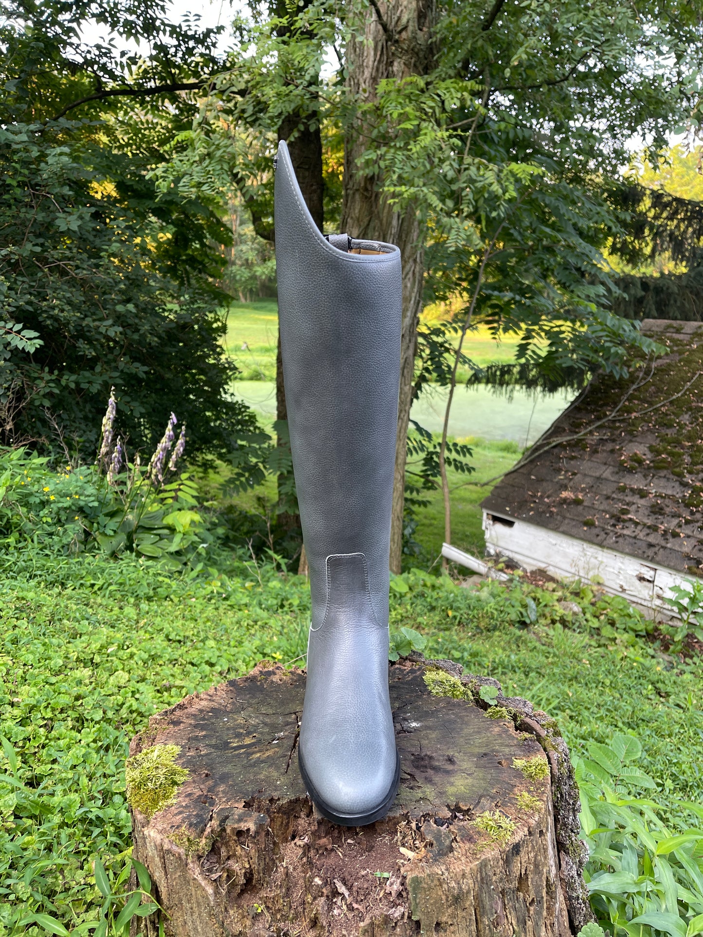 Kingsley Olbia 03 Dressage Boot (Paxson Grey)