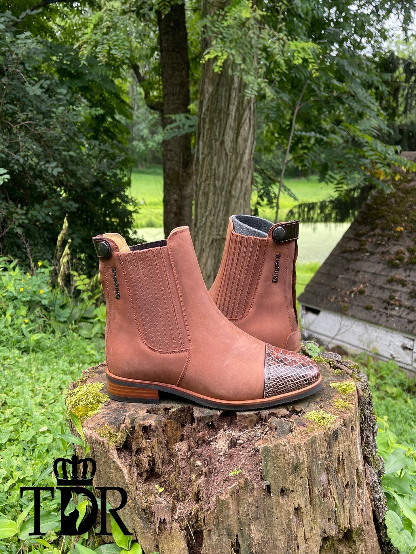 Kingsley Berlin (Gaucho Chestnut)