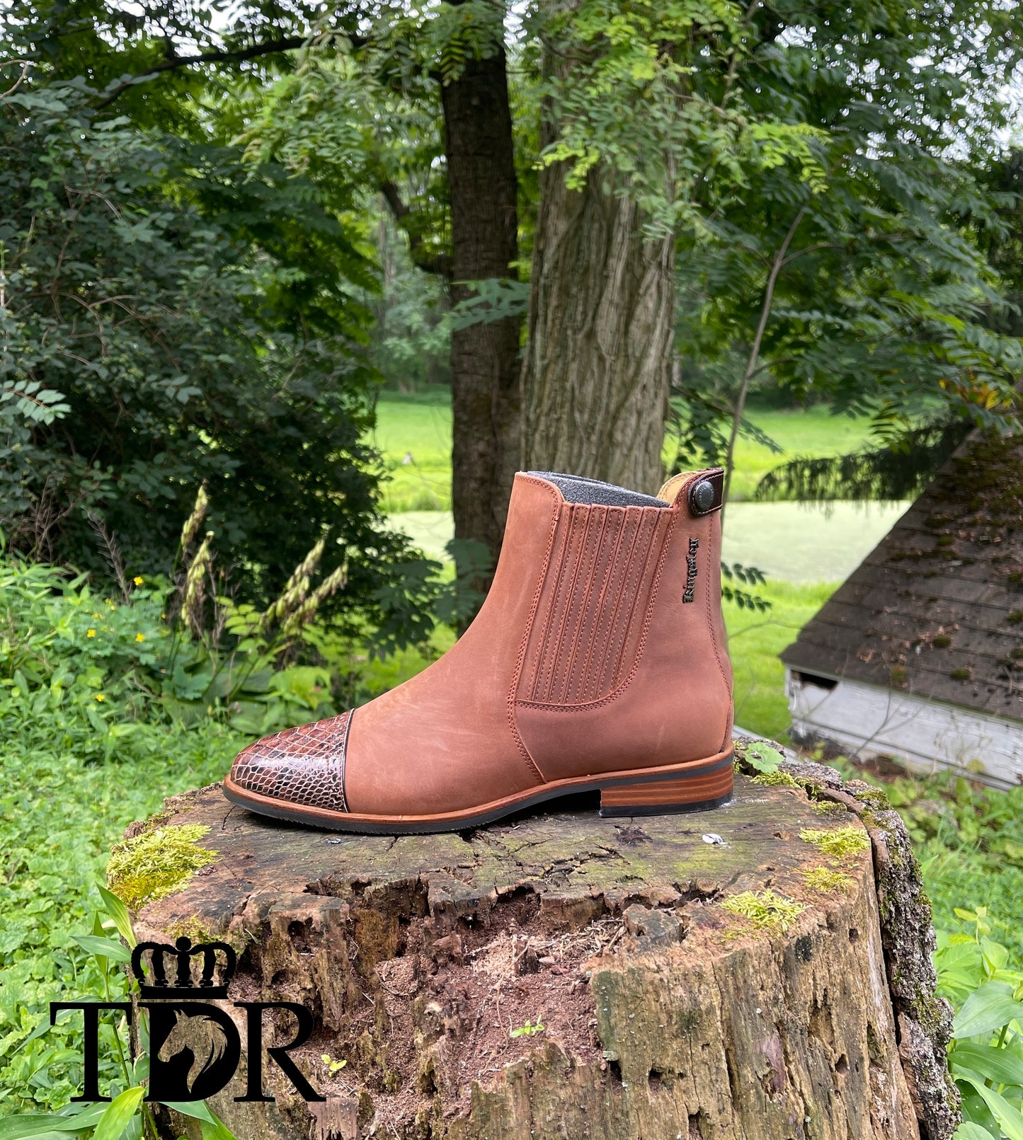 Kingsley Berlin (Gaucho Chestnut)