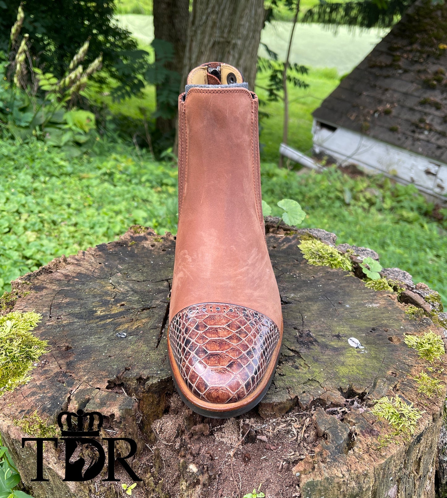 Kingsley Berlin (Gaucho Chestnut)