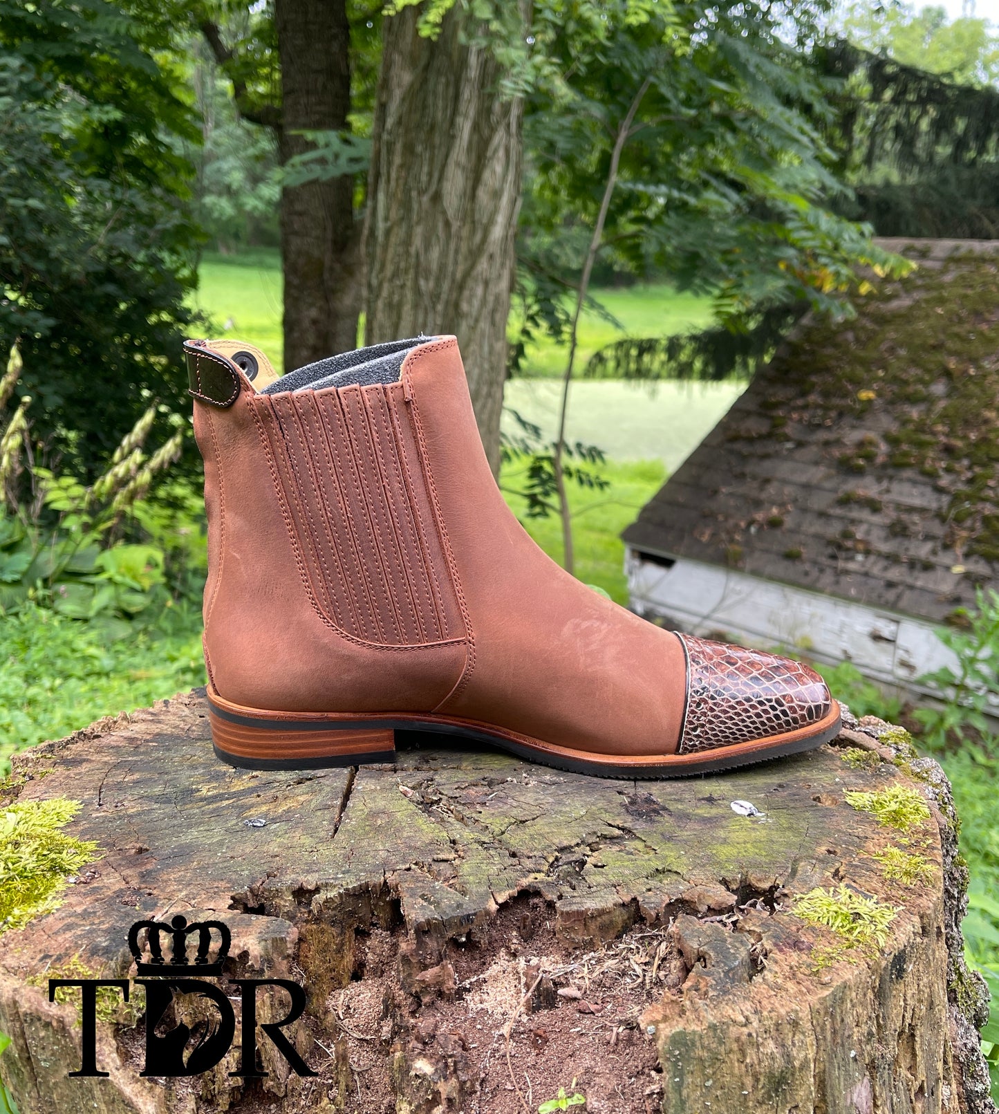 Kingsley Berlin (Gaucho Chestnut)