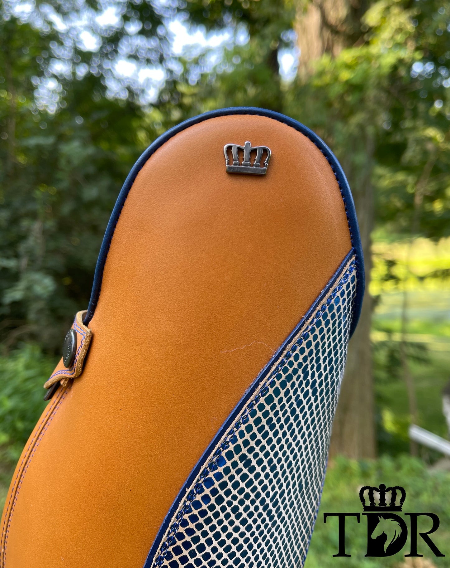 TDR's Lori R 2.0 (Kingsley Olbia 02)