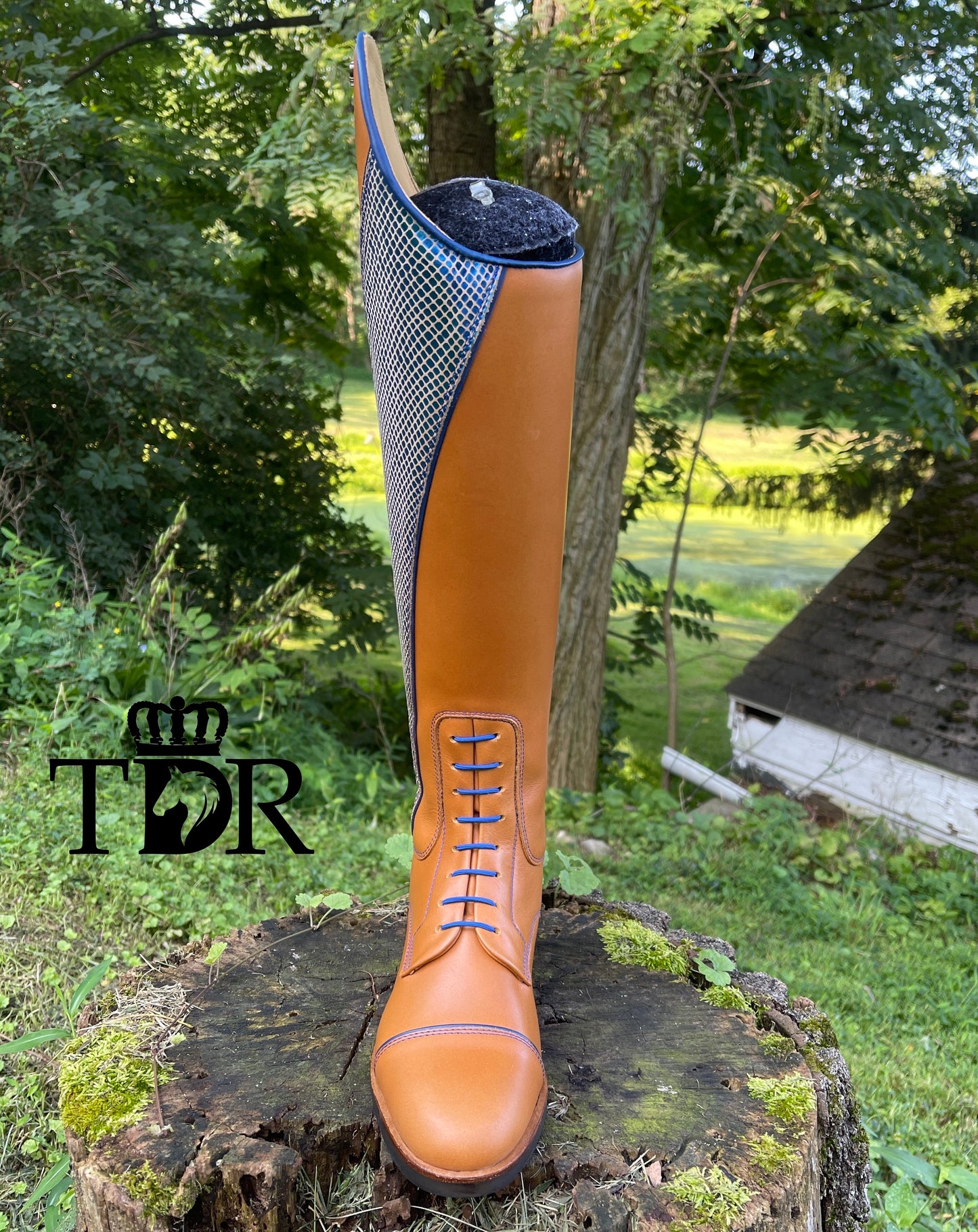 TDR's Lori R 2.0 (Kingsley Olbia 02)