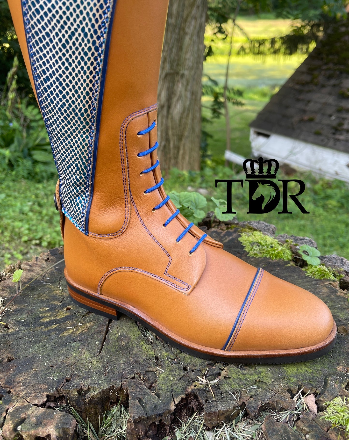 TDR's Lori R 2.0 (Kingsley Olbia 02)