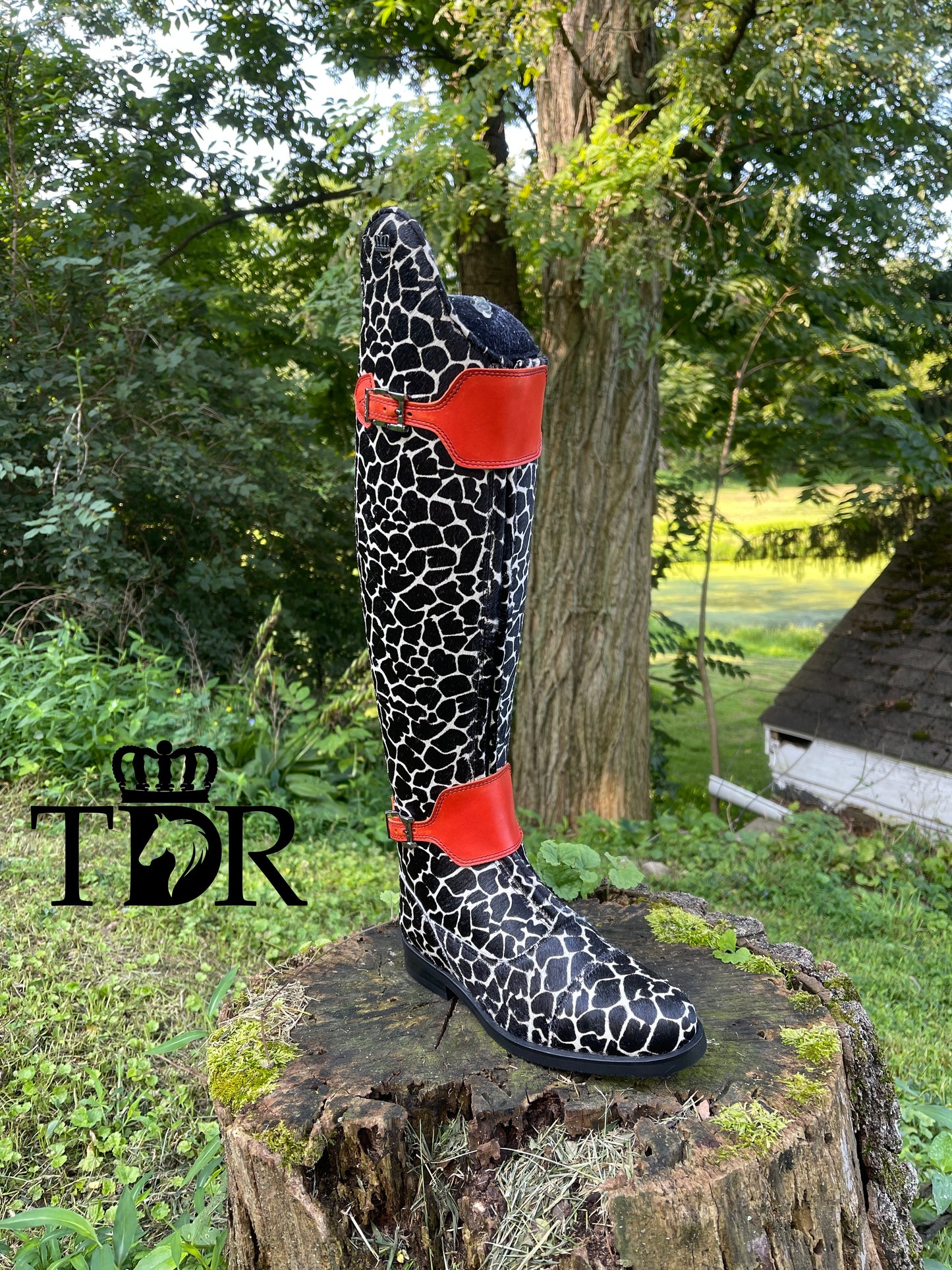 TDR's Lori R (Kingsley London 02)