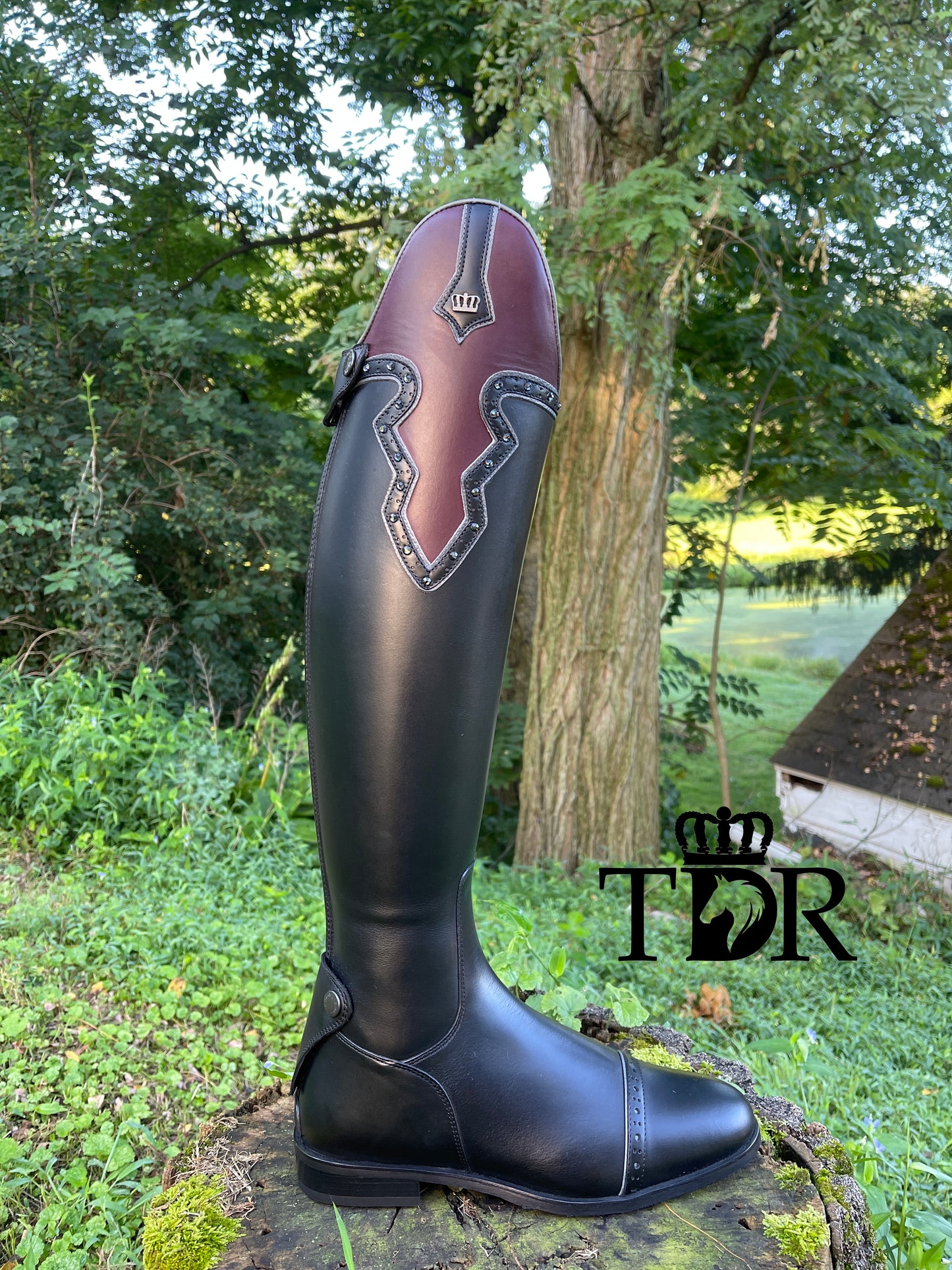TDR's Theresa E (Kingsley Olbia 03)
