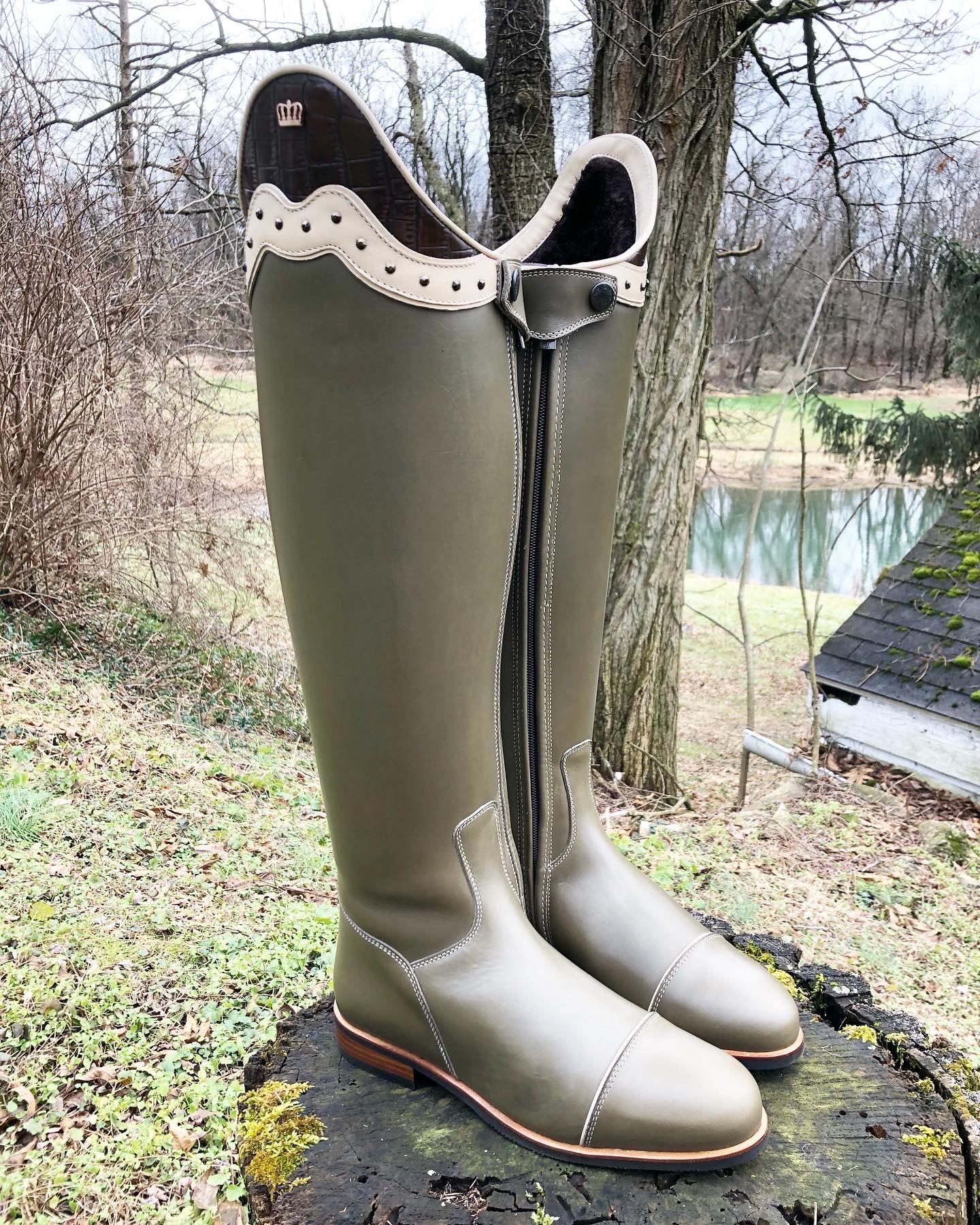 TDR's Diana S 2.0 (WINTER Kingsley Capri)