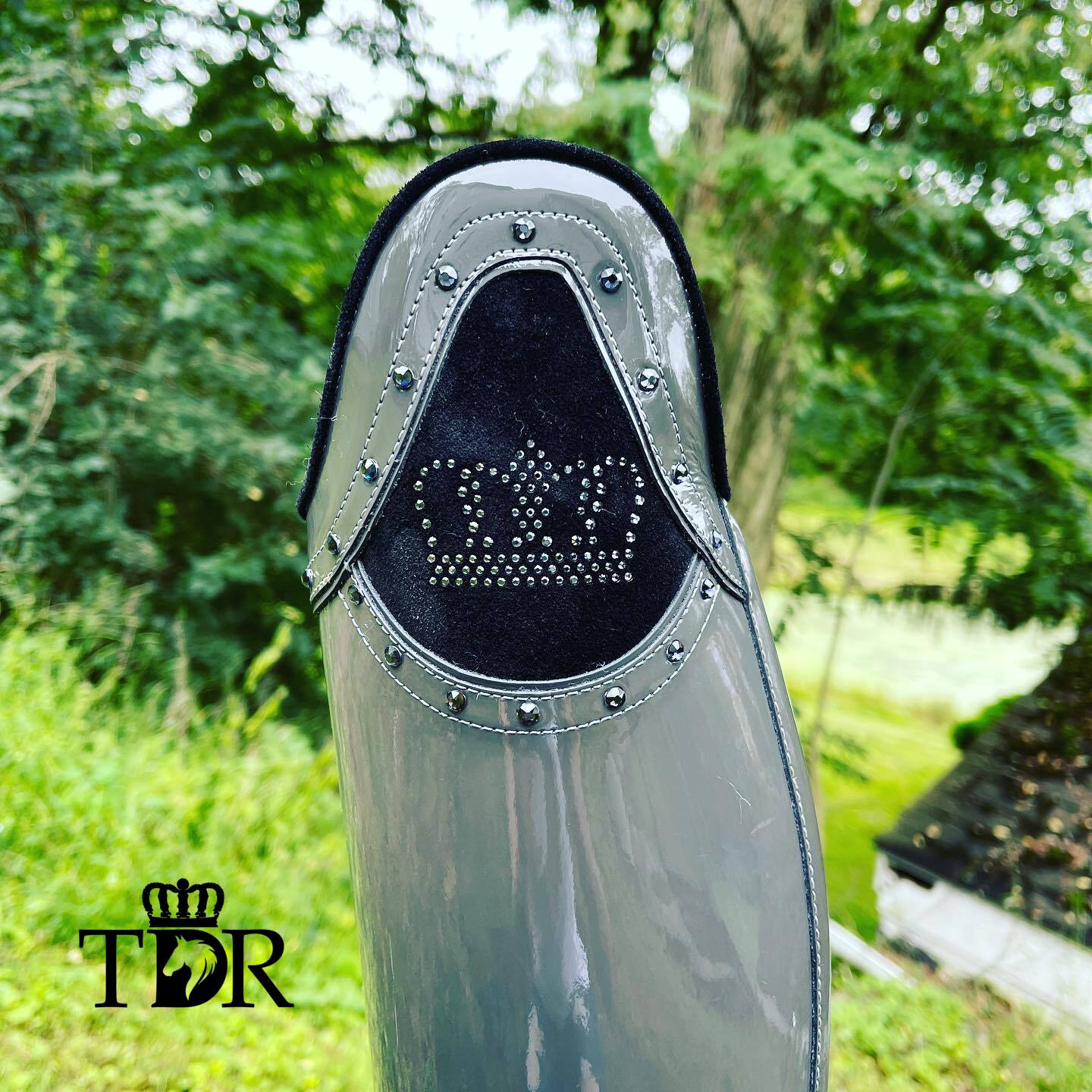 TDR's Marissa 4.0 (Kingsley Capri 02)