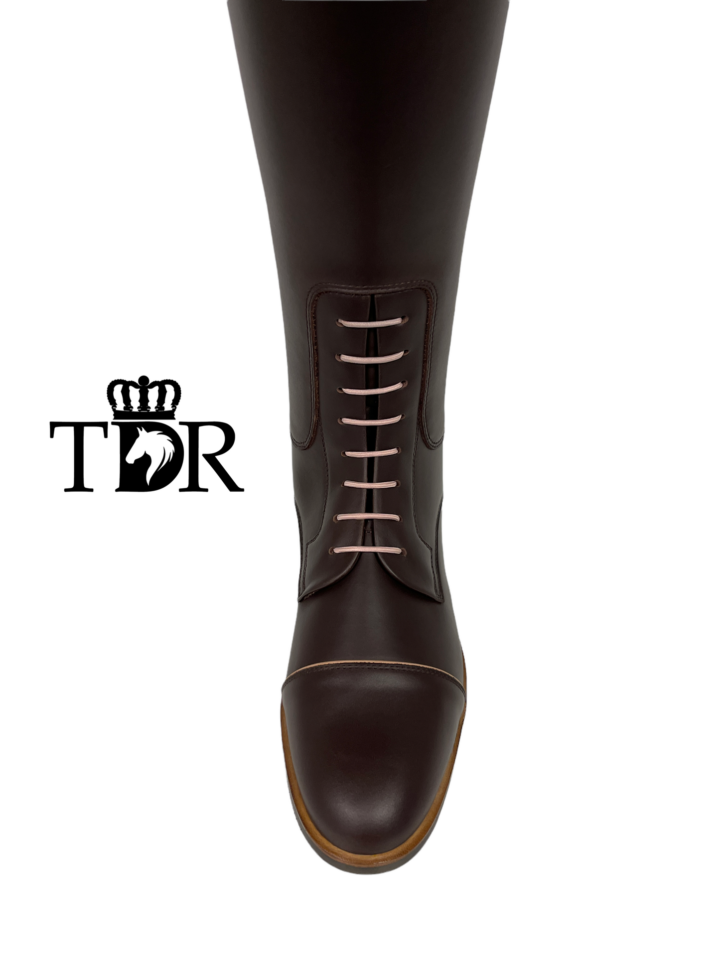 TDR's Alex (Kingsley Olbia 02)