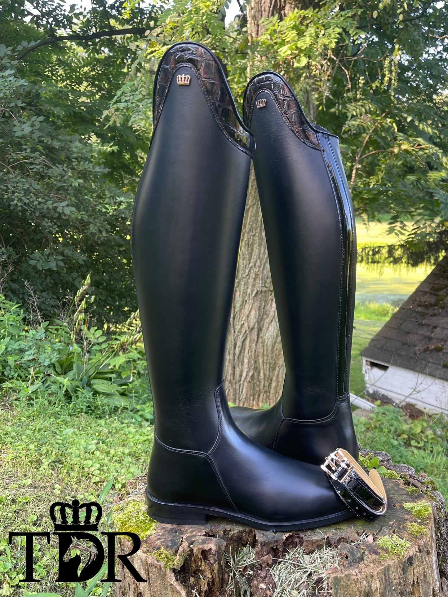 TDR's Olivia B. (Kingsley Capri 01)