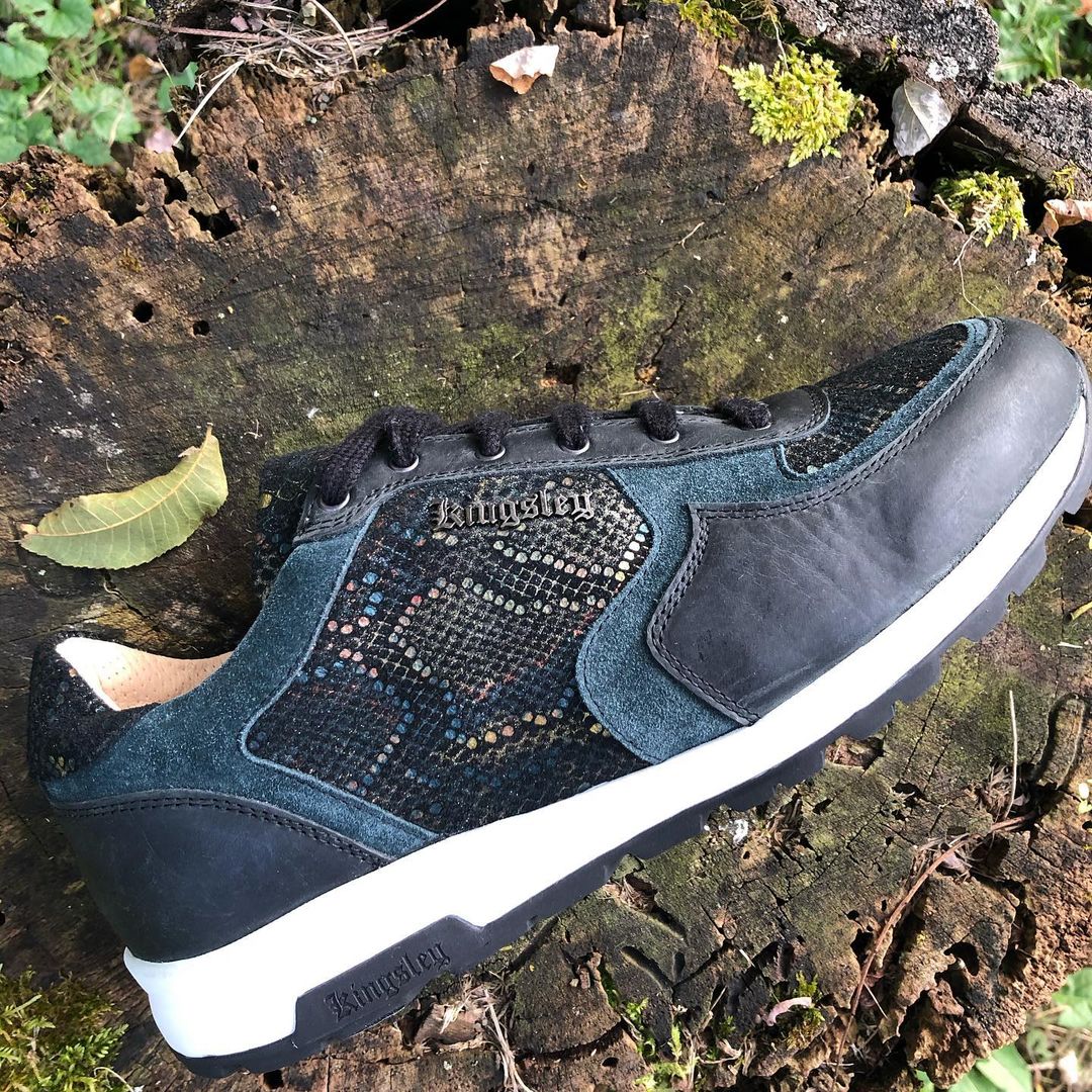 TDR's Kristin S (Kingsley Cervo)