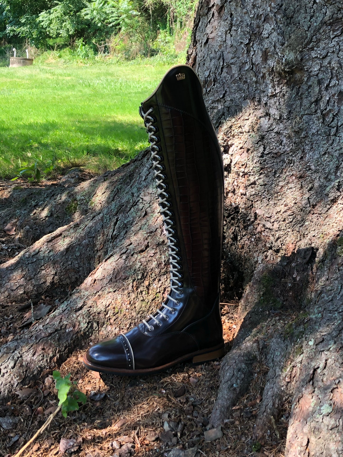 Kingsley Orlando 02 Dressage Boot (Uragano Dark Brown)