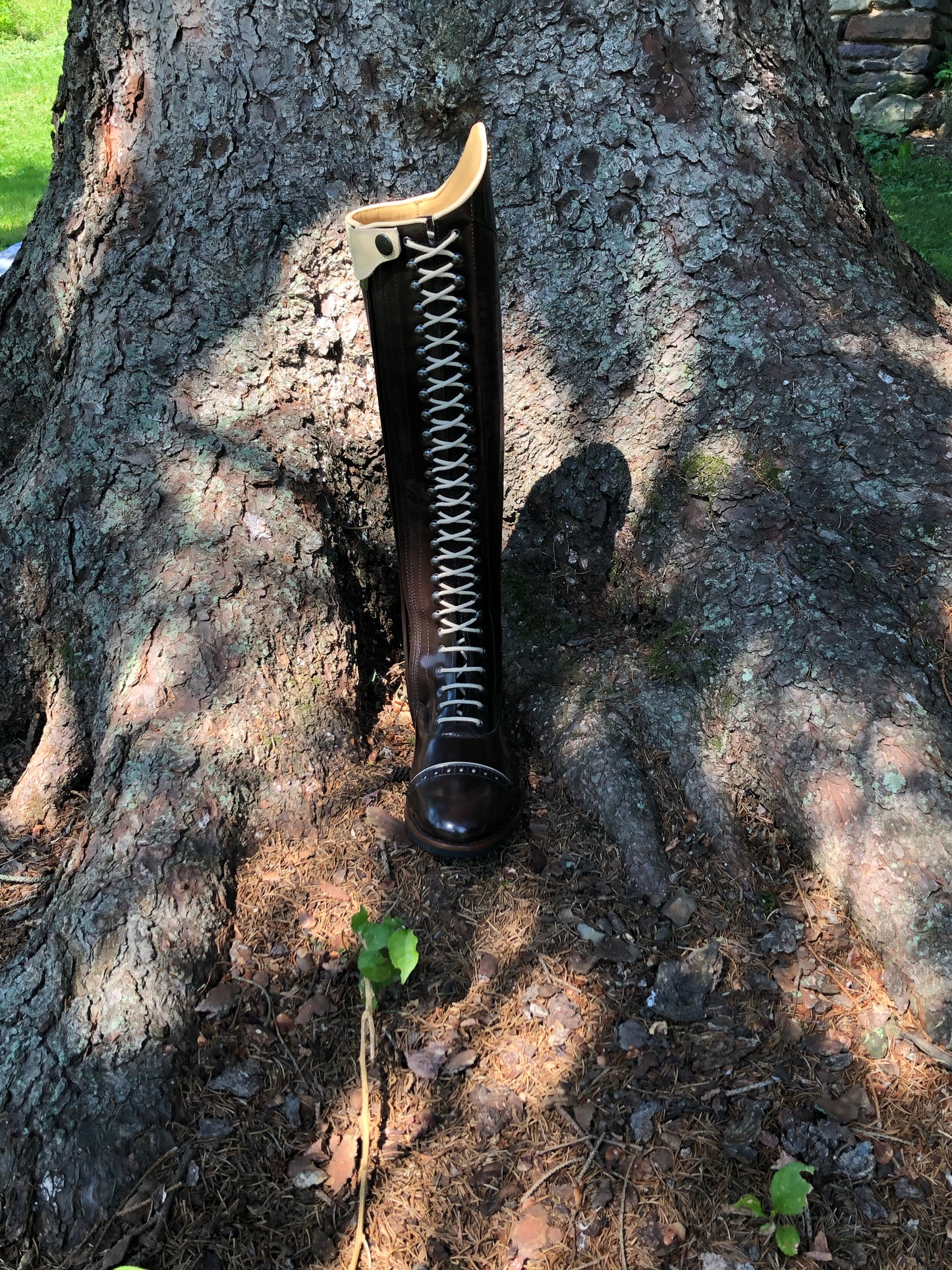 Kingsley Orlando 02 Dressage Boot (Uragano Dark Brown)