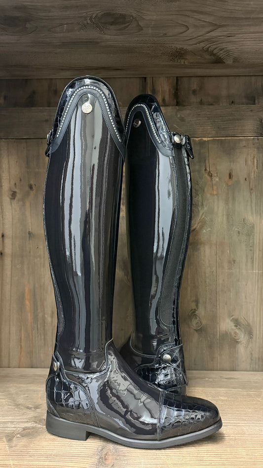 TDR's Molly (Celeris Olivia Flex)