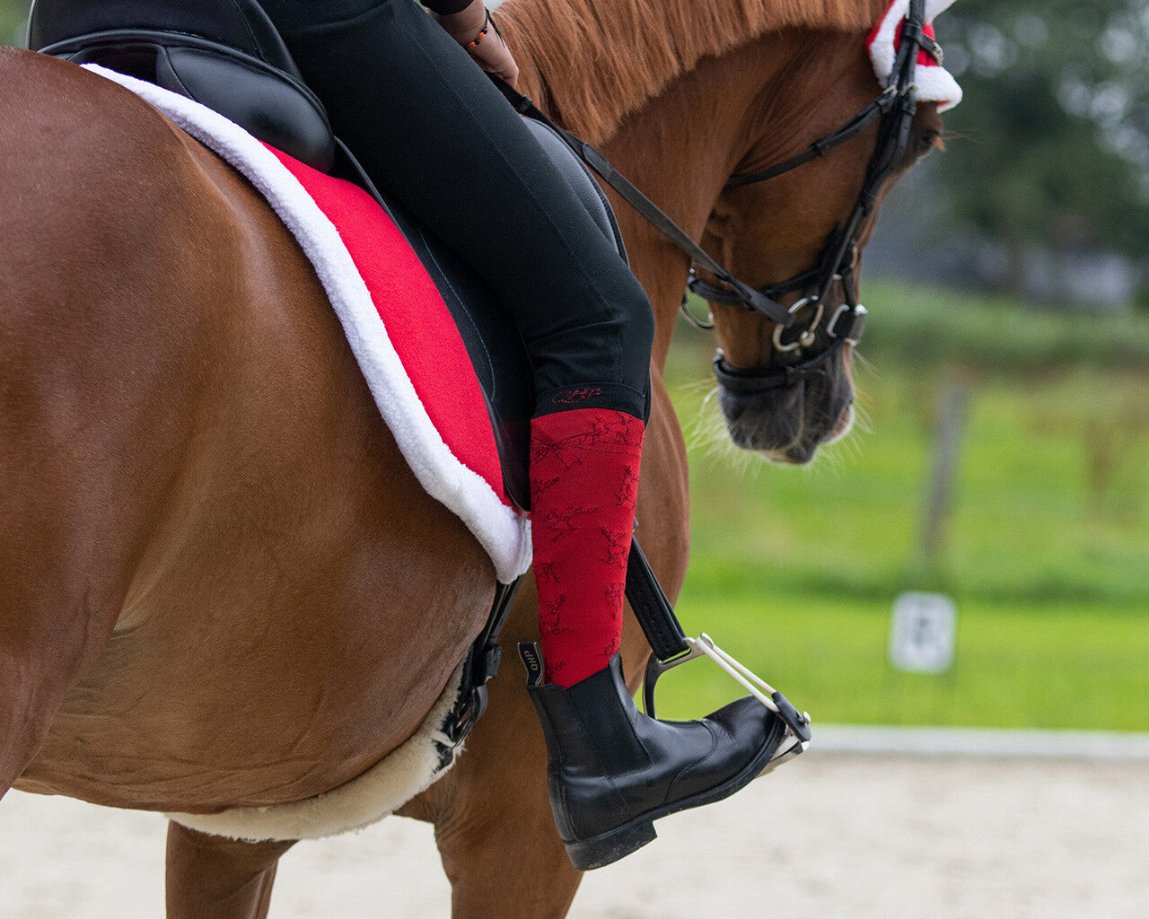 QHP Boot Socks: Christmas 2-Pack in Black/ Red (Multiple Sizes)