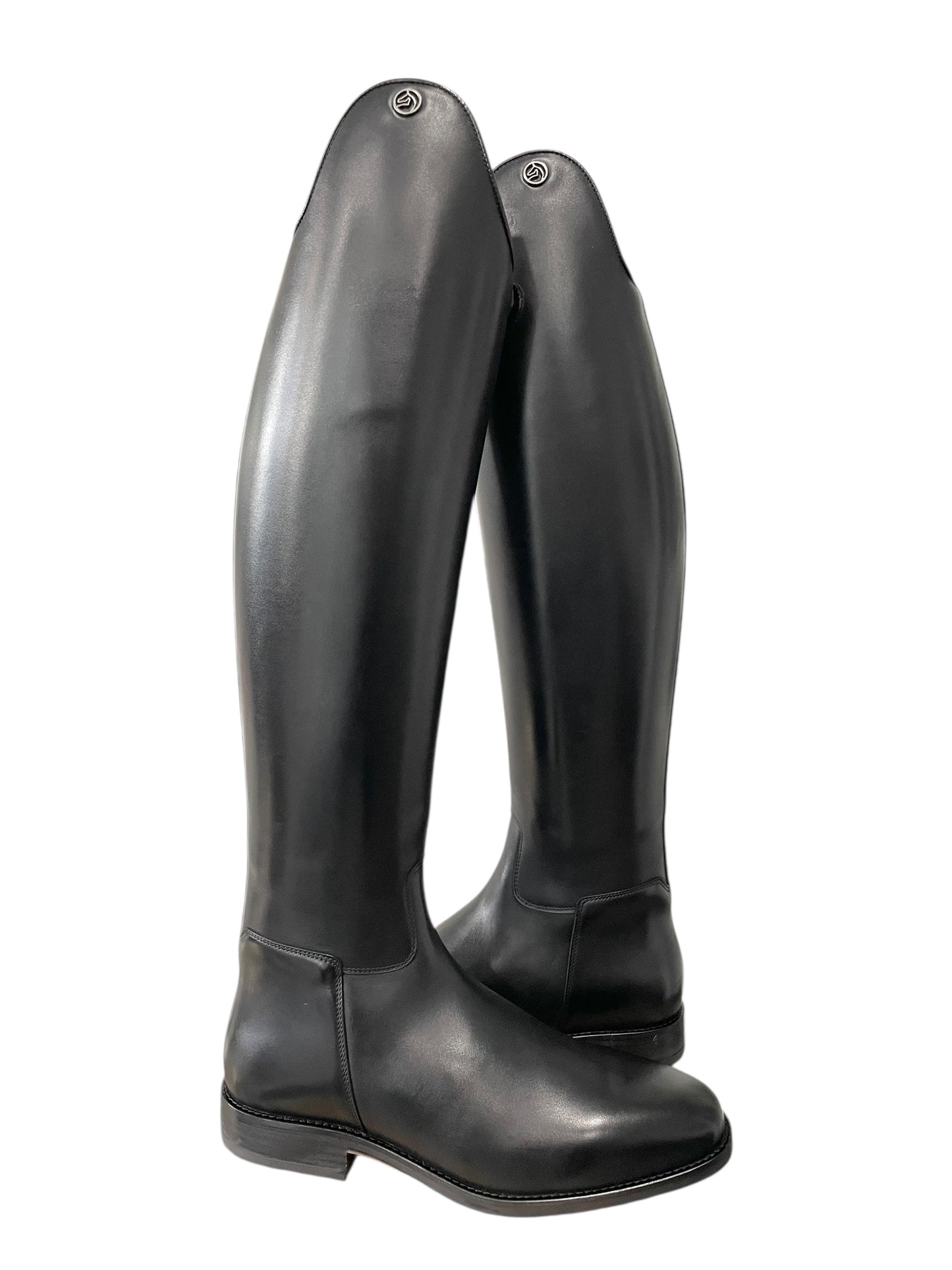 TDR's Shane (Celeris Aachen)