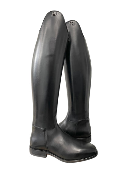 TDR's Shane (Celeris Aachen)