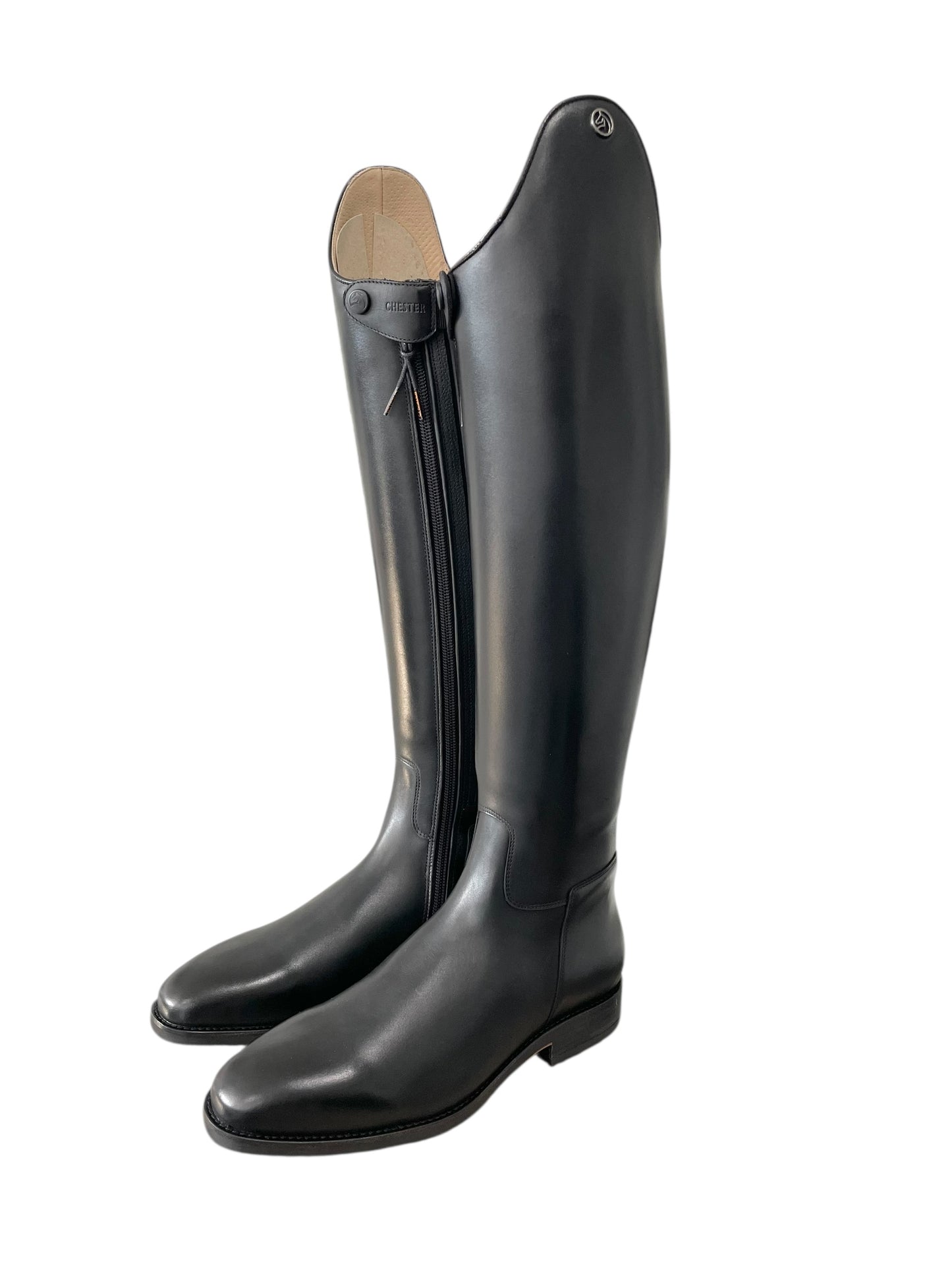 TDR's Shane (Celeris Aachen)